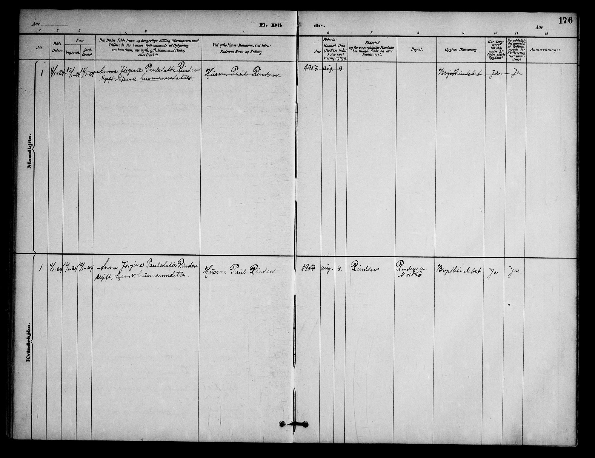 Nissedal kirkebøker, SAKO/A-288/G/Ga/L0003: Parish register (copy) no. I 3, 1887-1911, p. 176