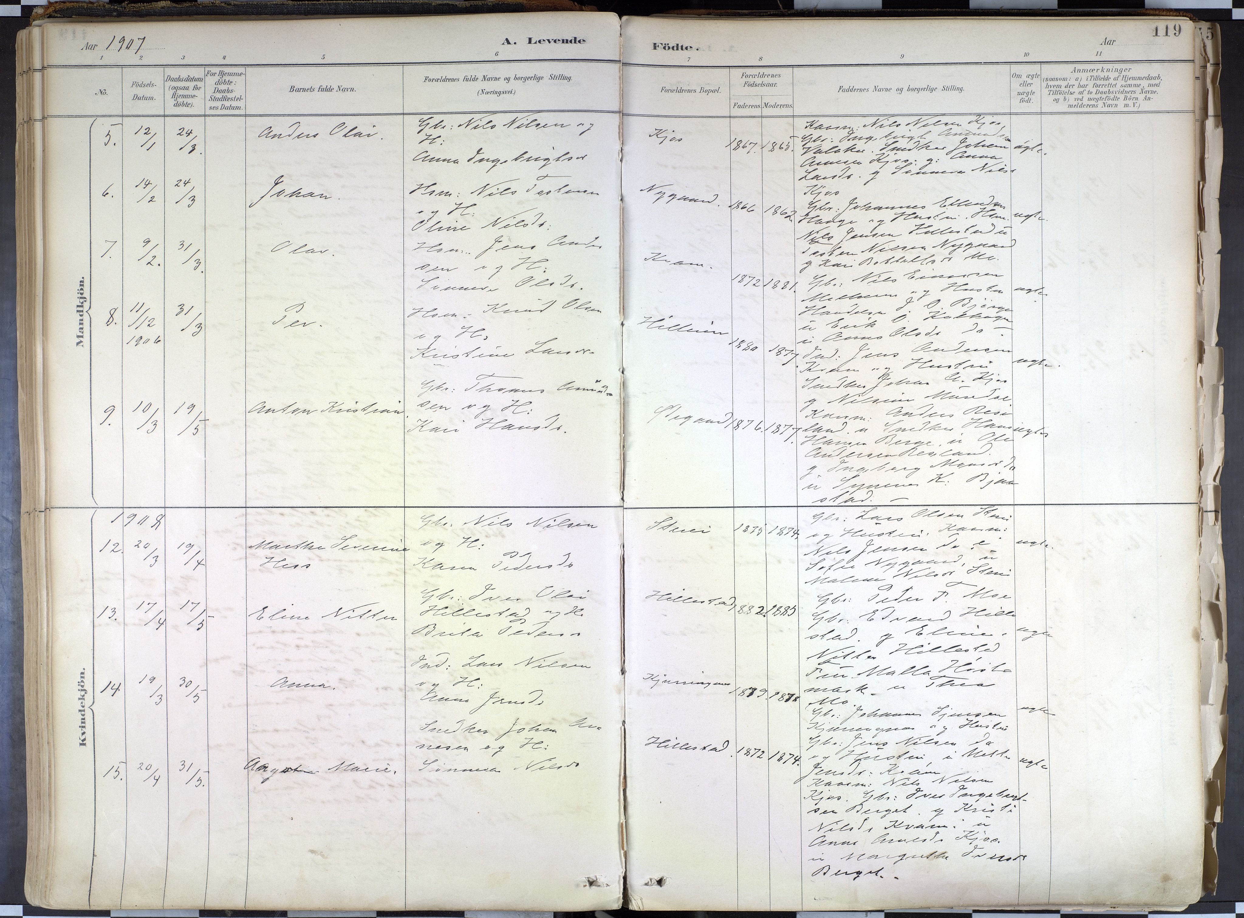 Hafslo sokneprestembete, AV/SAB-A-80301/H/Haa/Haab/L0001: Parish register (official) no. B 1, 1886-1945, p. 119