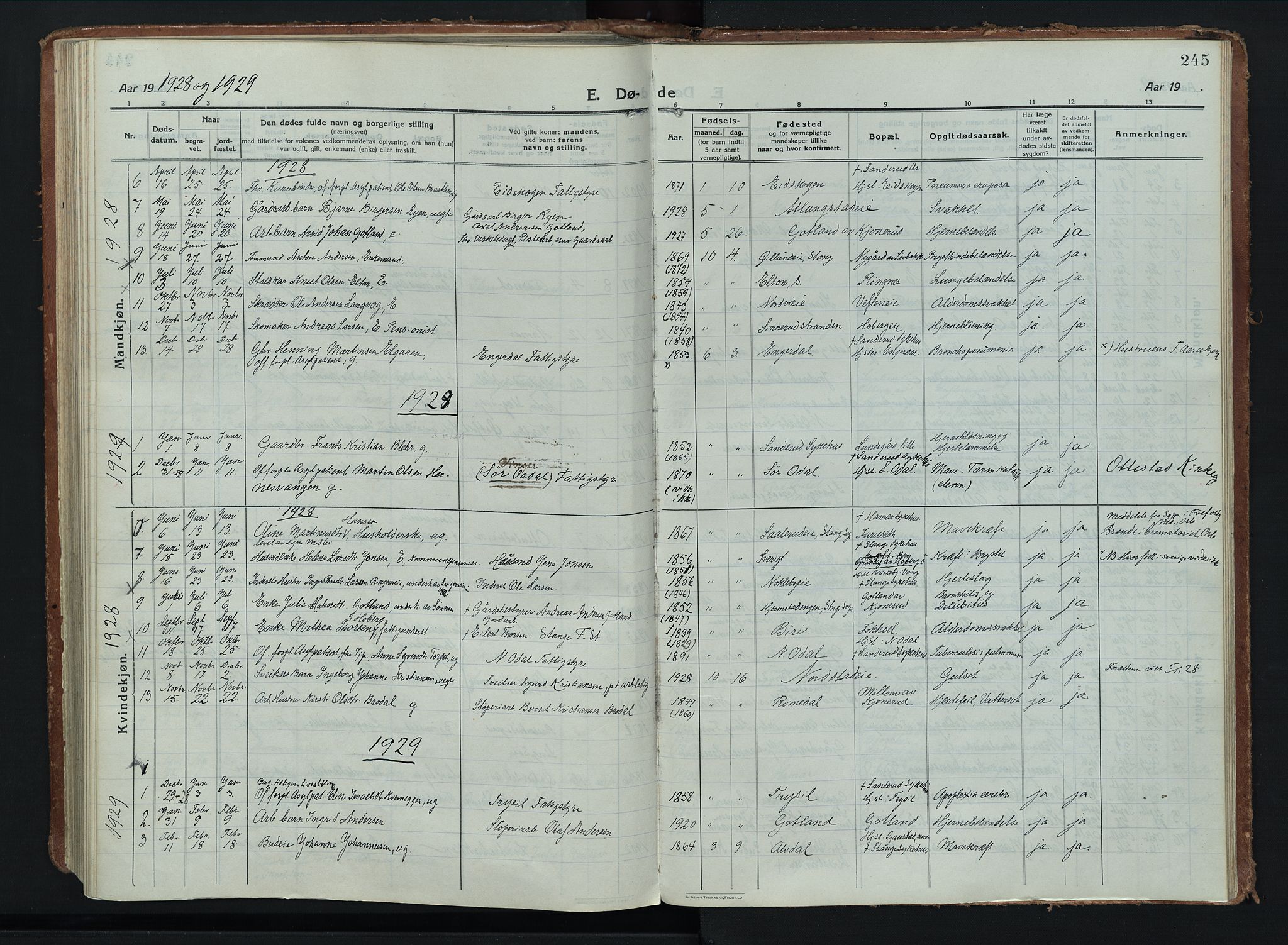 Stange prestekontor, SAH/PREST-002/K/L0028: Parish register (official) no. 28, 1913-1932, p. 245