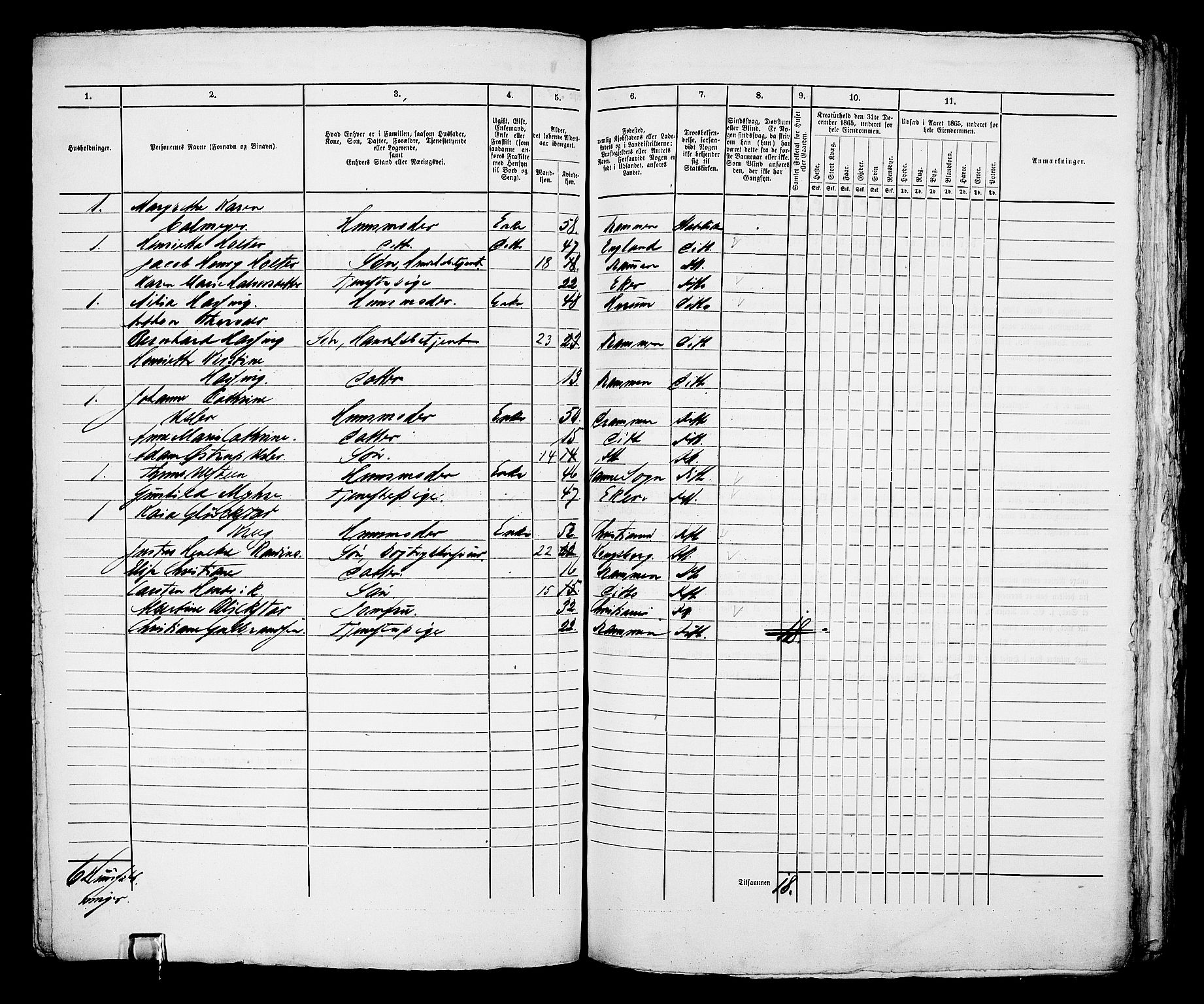 RA, 1865 census for Bragernes in Drammen, 1865, p. 304