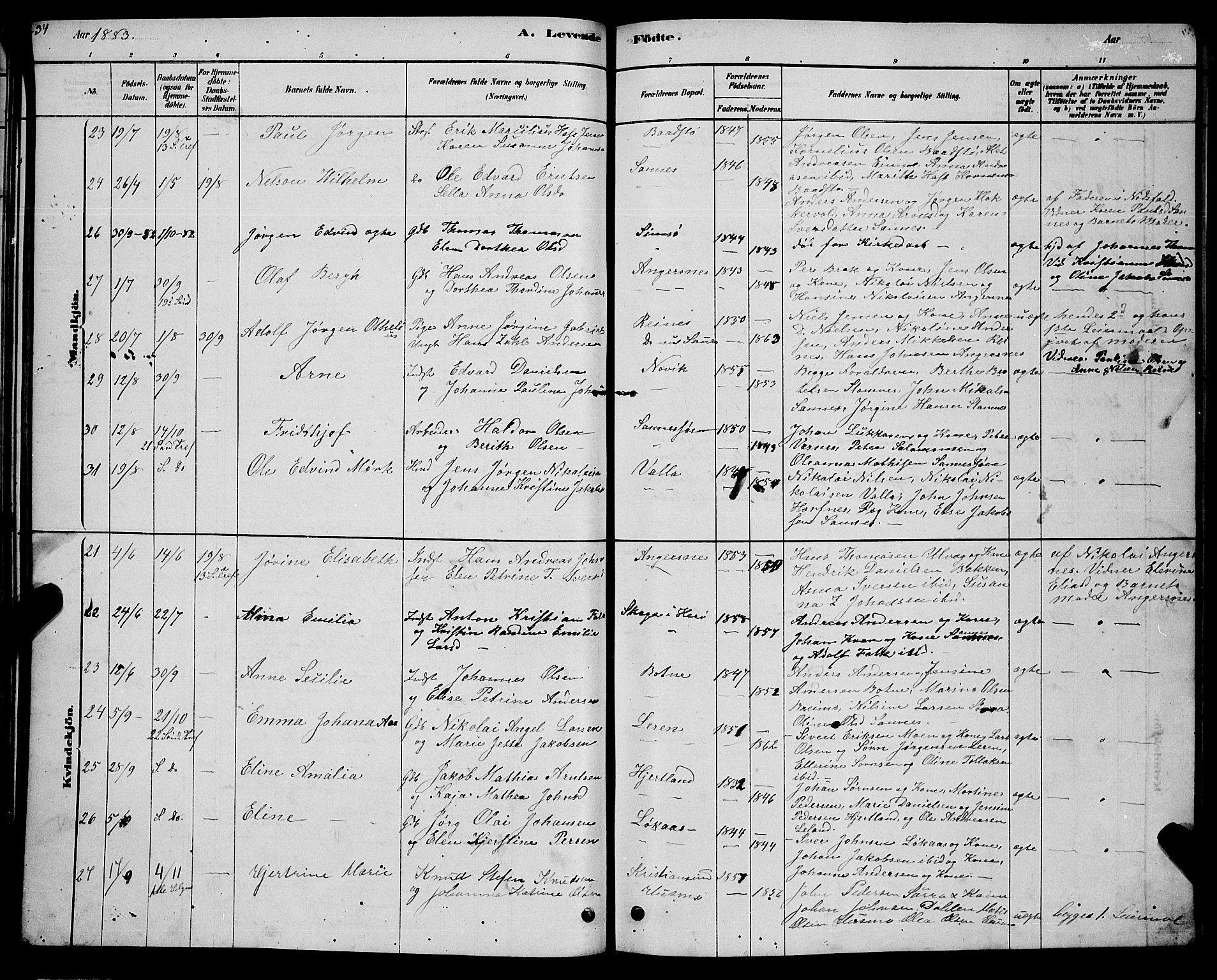 Ministerialprotokoller, klokkerbøker og fødselsregistre - Nordland, AV/SAT-A-1459/831/L0477: Parish register (copy) no. 831C04, 1878-1897, p. 34