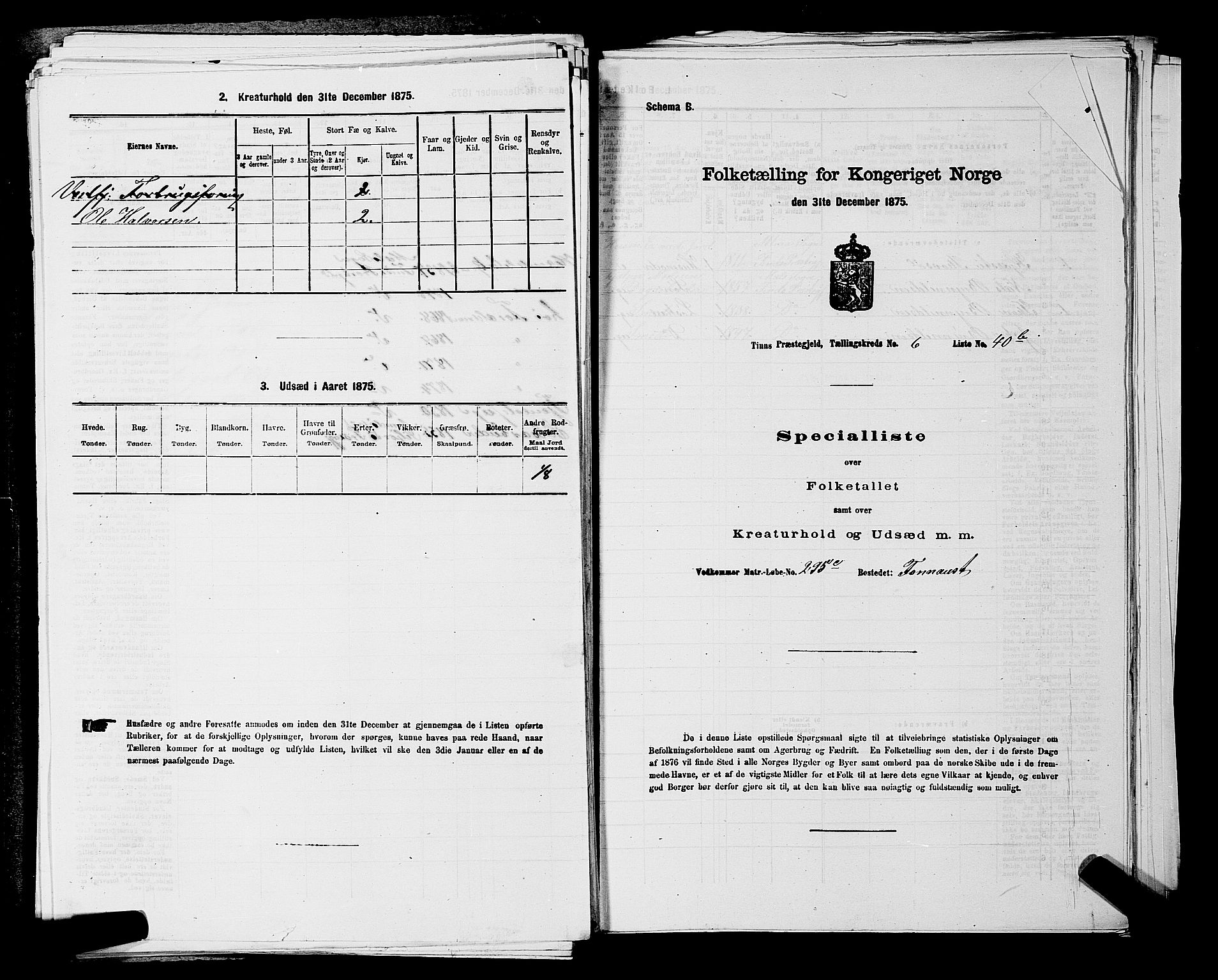 SAKO, 1875 census for 0826P Tinn, 1875, p. 829