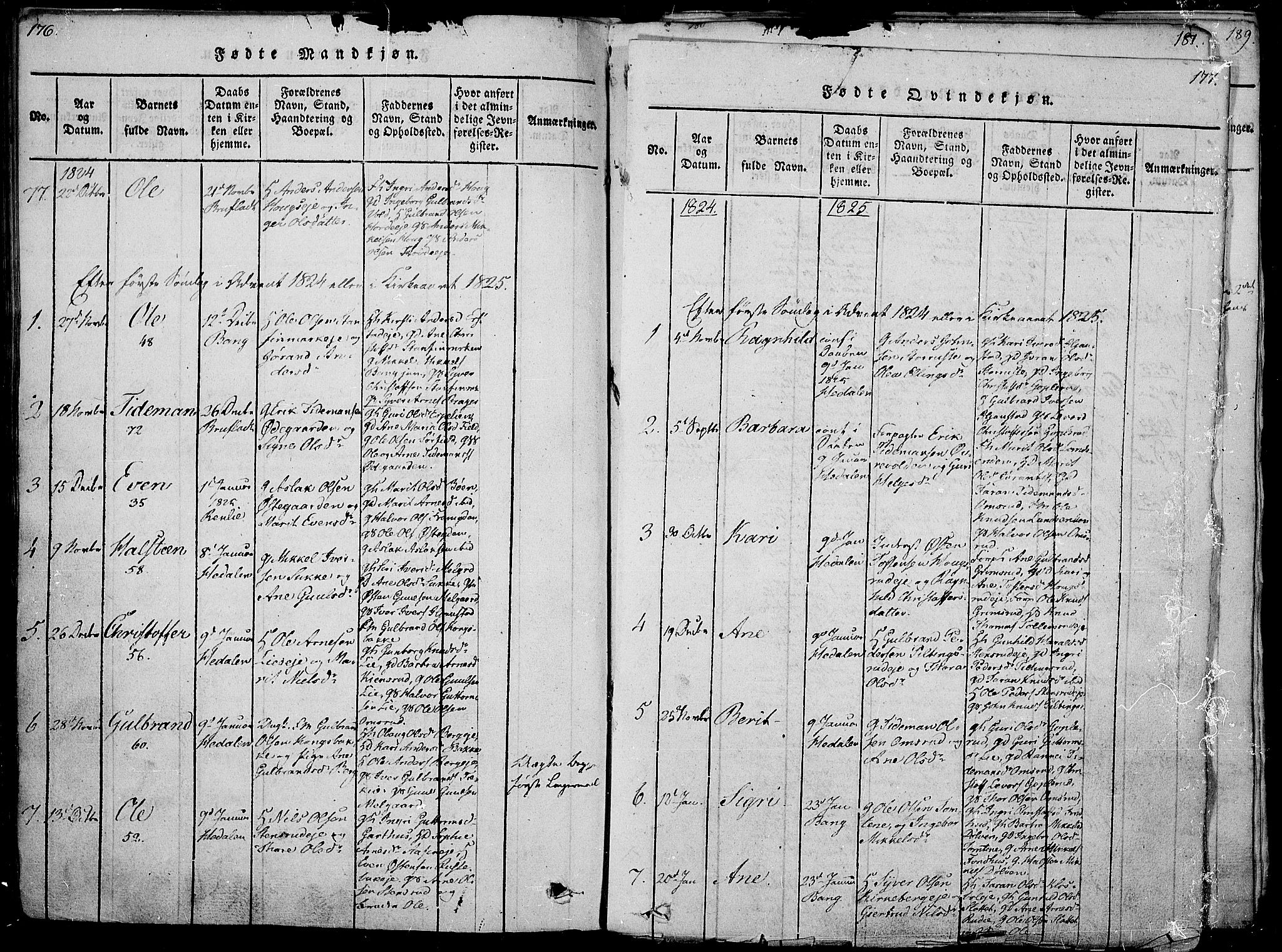 Sør-Aurdal prestekontor, SAH/PREST-128/H/Ha/Haa/L0002: Parish register (official) no. 2, 1815-1840, p. 176-177