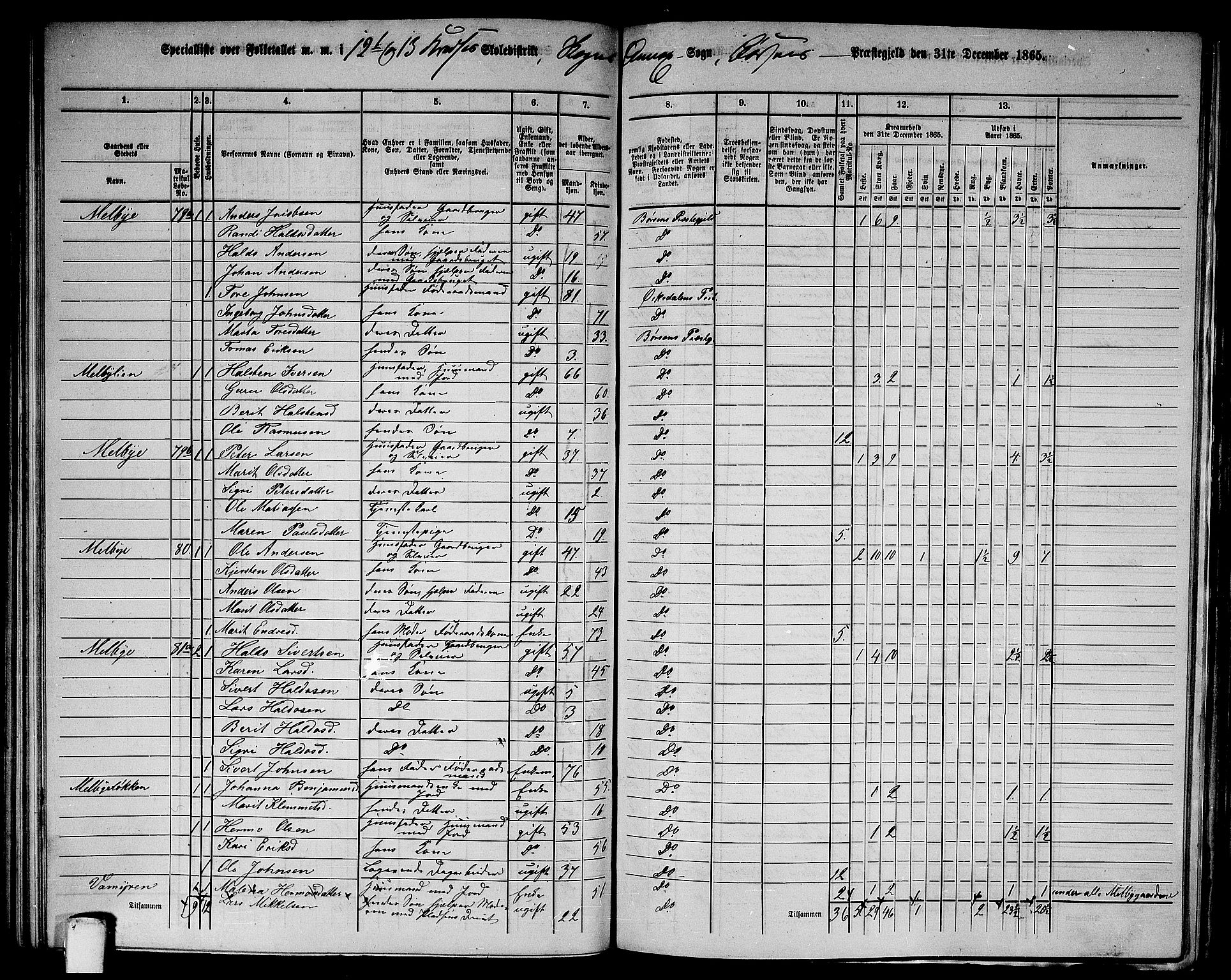 RA, 1865 census for Børsa, 1865, p. 141