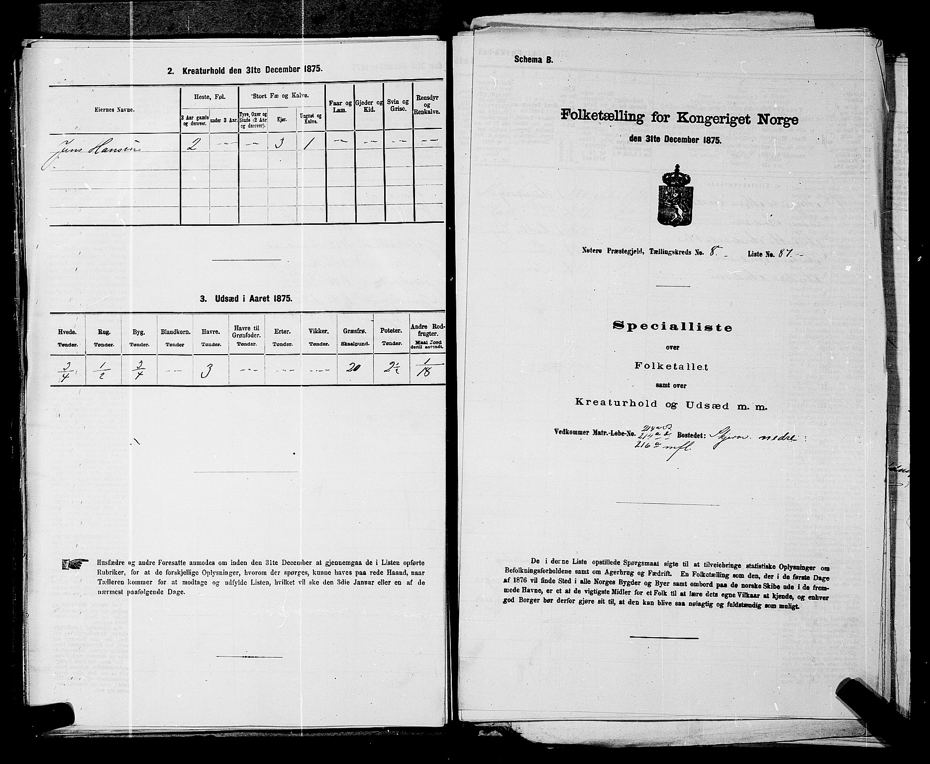 SAKO, 1875 census for 0722P Nøtterøy, 1875, p. 1717