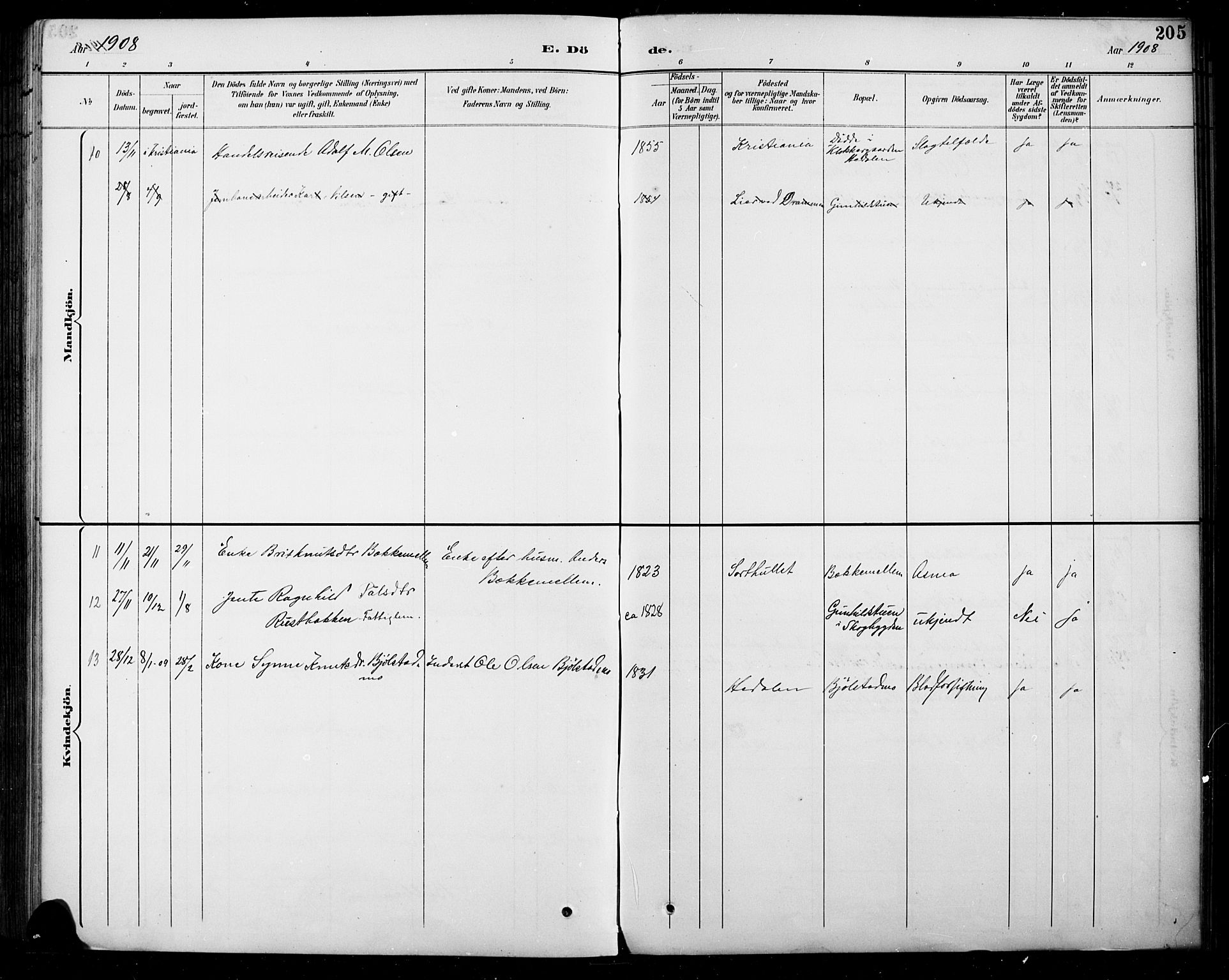 Sel prestekontor, SAH/PREST-074/H/Ha/Hab/L0005: Parish register (copy) no. 5, 1894-1923, p. 205