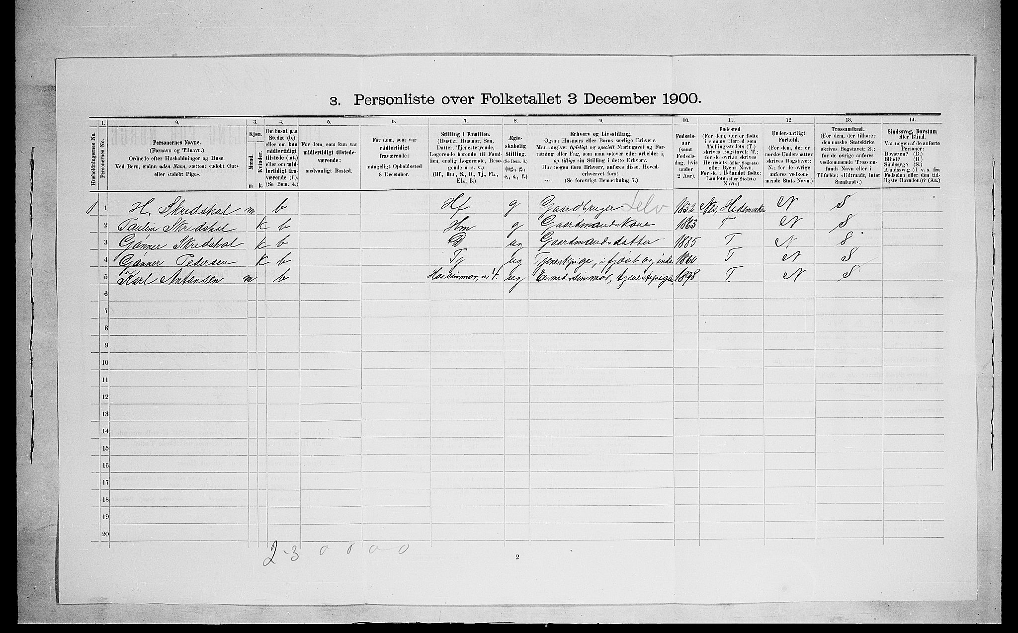 SAH, 1900 census for Ringsaker, 1900, p. 1309
