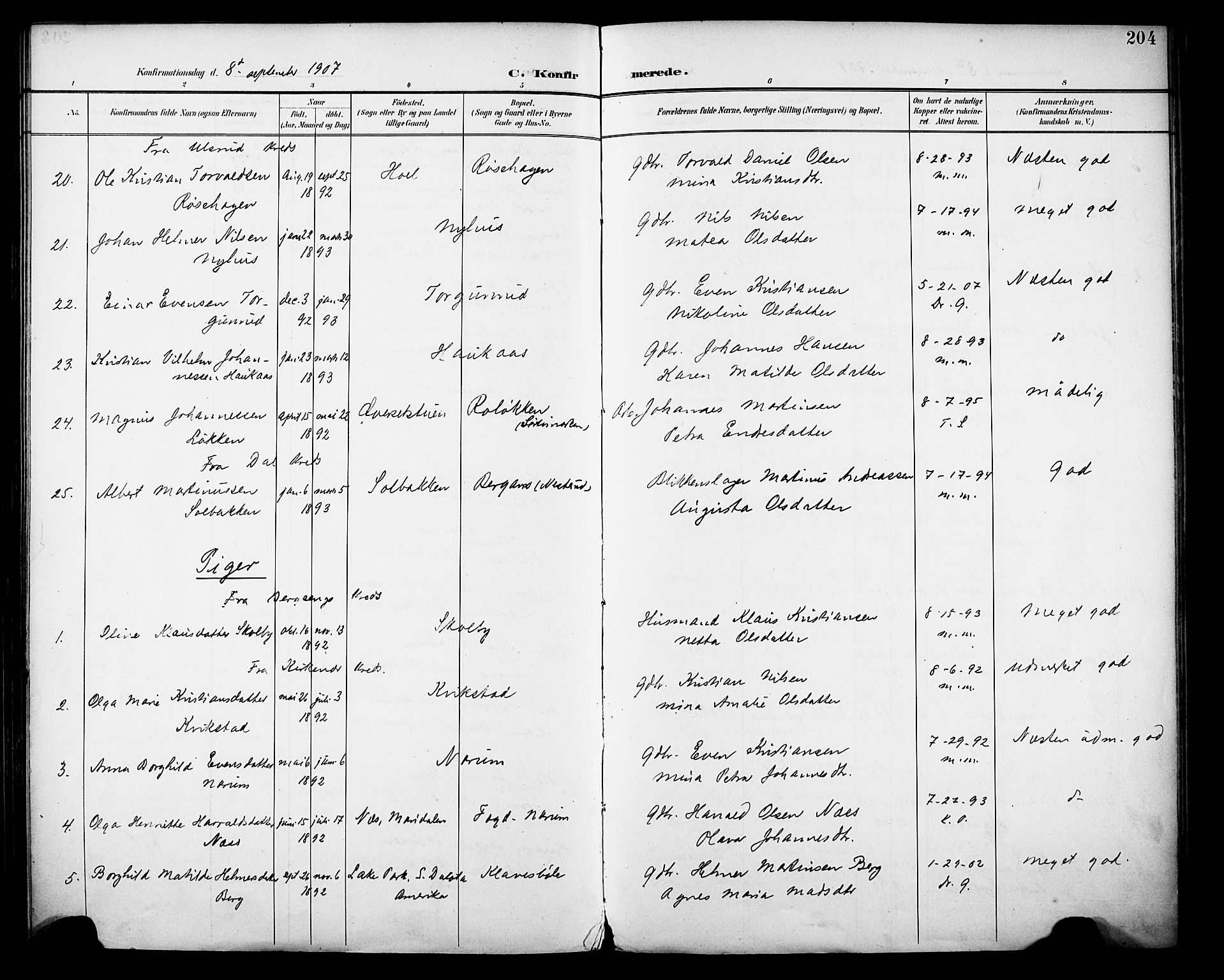 Vestre Toten prestekontor, SAH/PREST-108/H/Ha/Haa/L0013: Parish register (official) no. 13, 1895-1911, p. 204