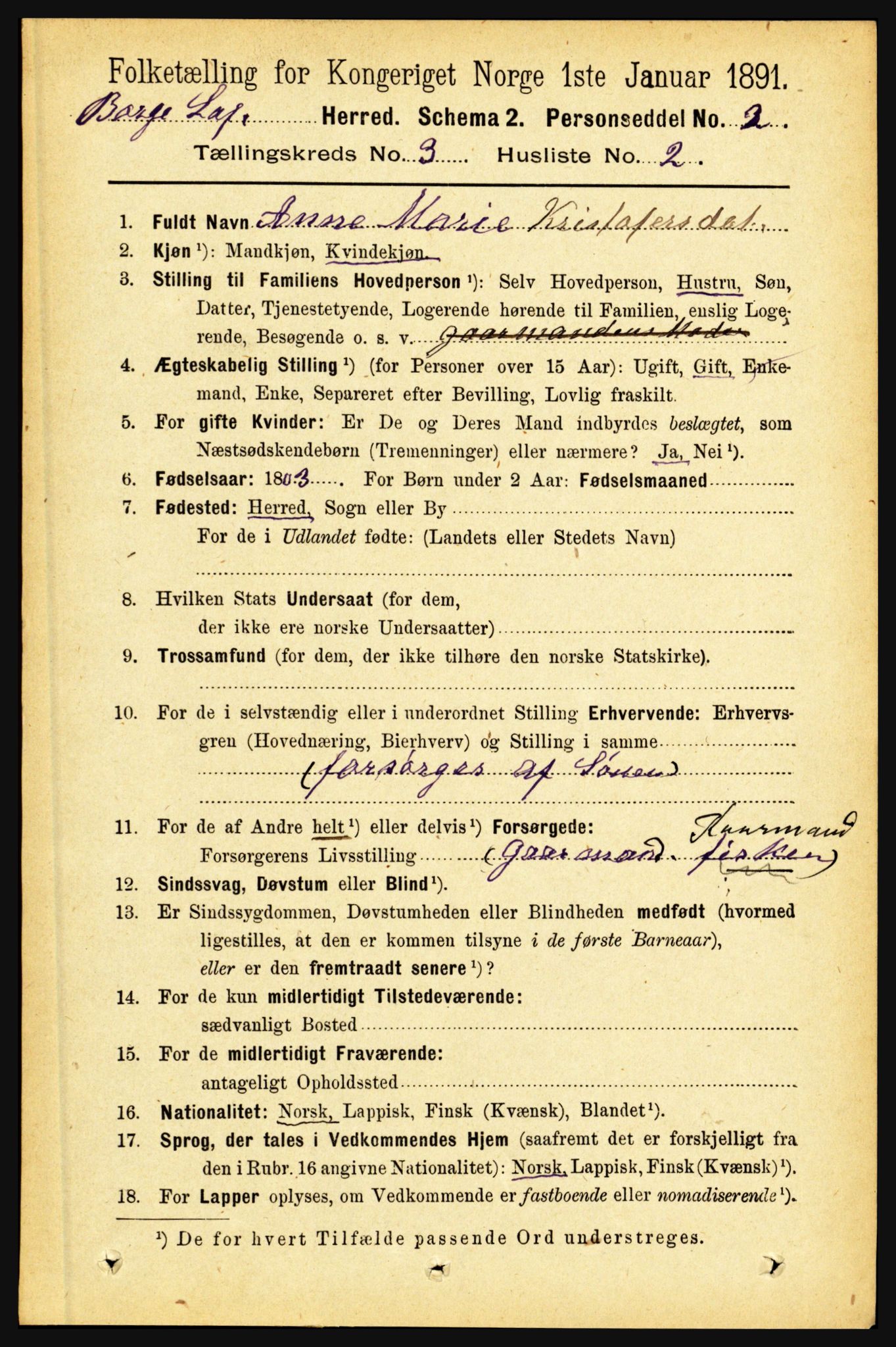 RA, 1891 census for 1862 Borge, 1891, p. 1556