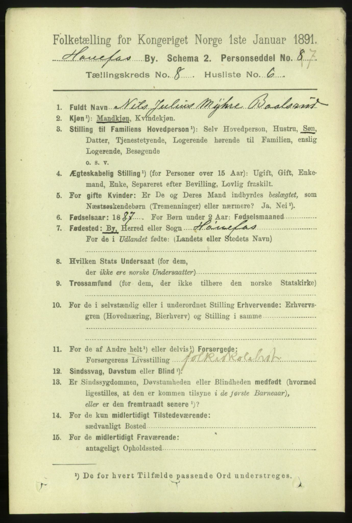 RA, 1891 census for 0601 Hønefoss, 1891, p. 1318