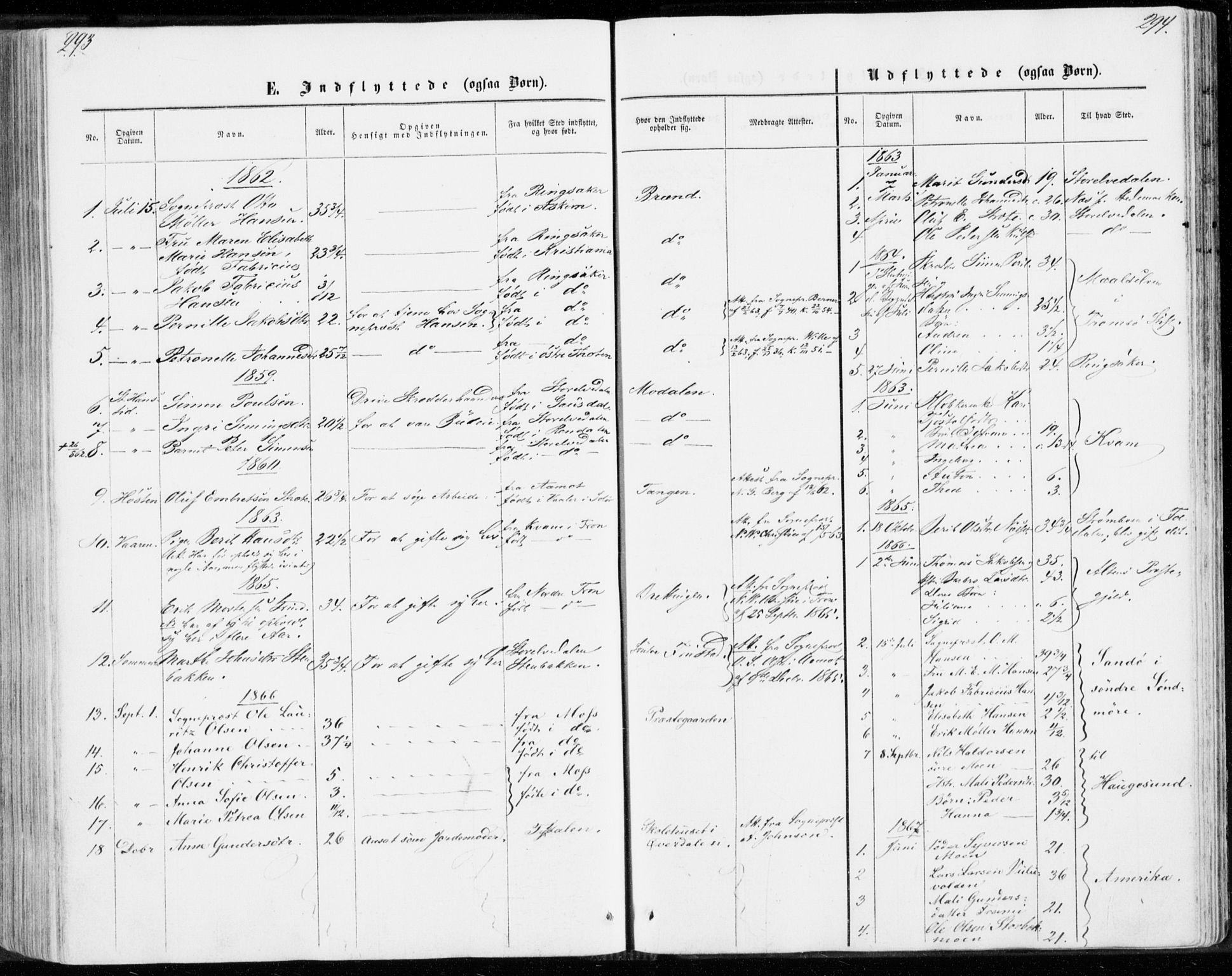 Sollia prestekontor, SAH/PREST-050/H/Ha/Haa/L0001: Parish register (official) no. 1, 1856-1885, p. 293-294
