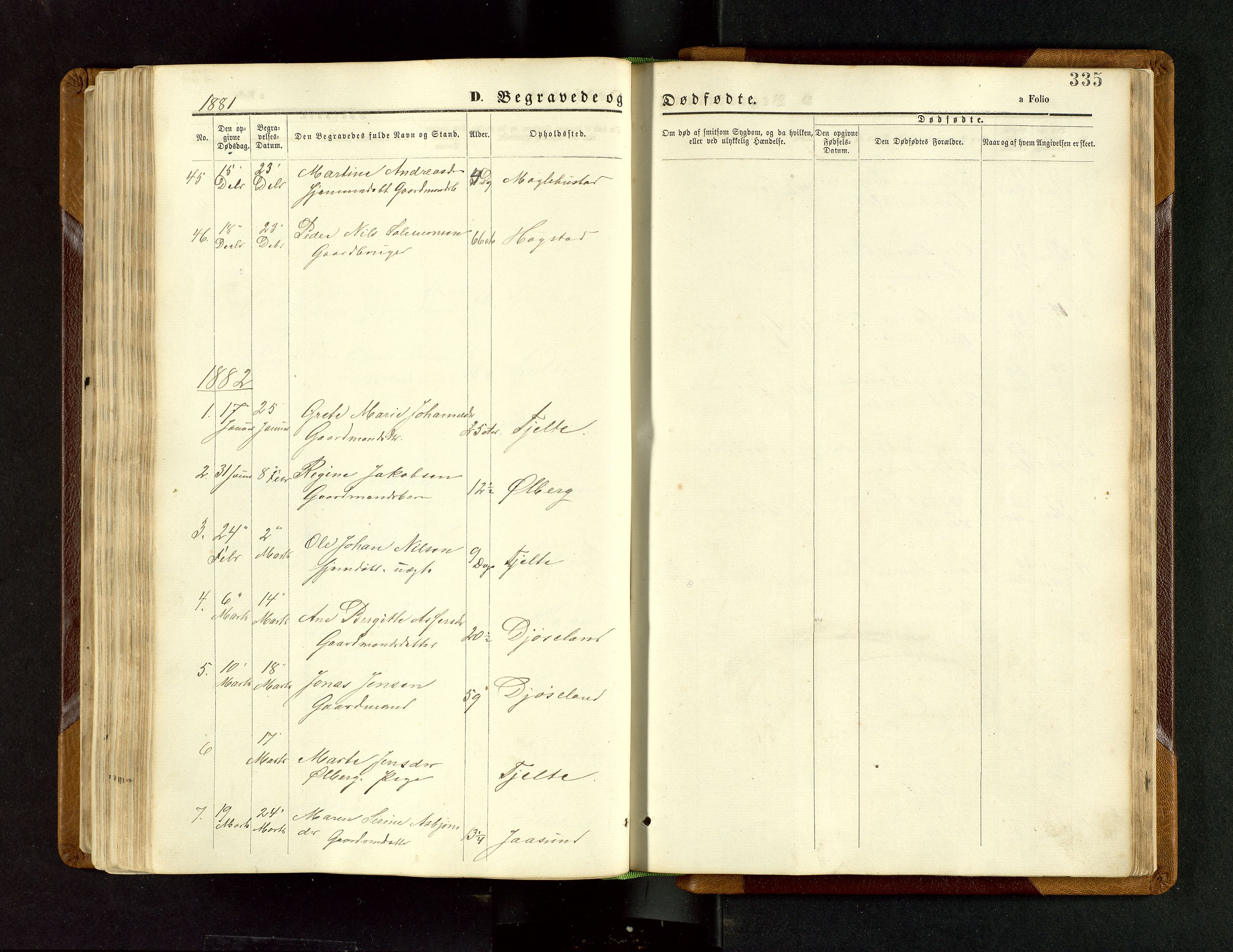 Håland sokneprestkontor, SAST/A-101802/001/30BB/L0003: Parish register (copy) no. B 3, 1873-1893, p. 335
