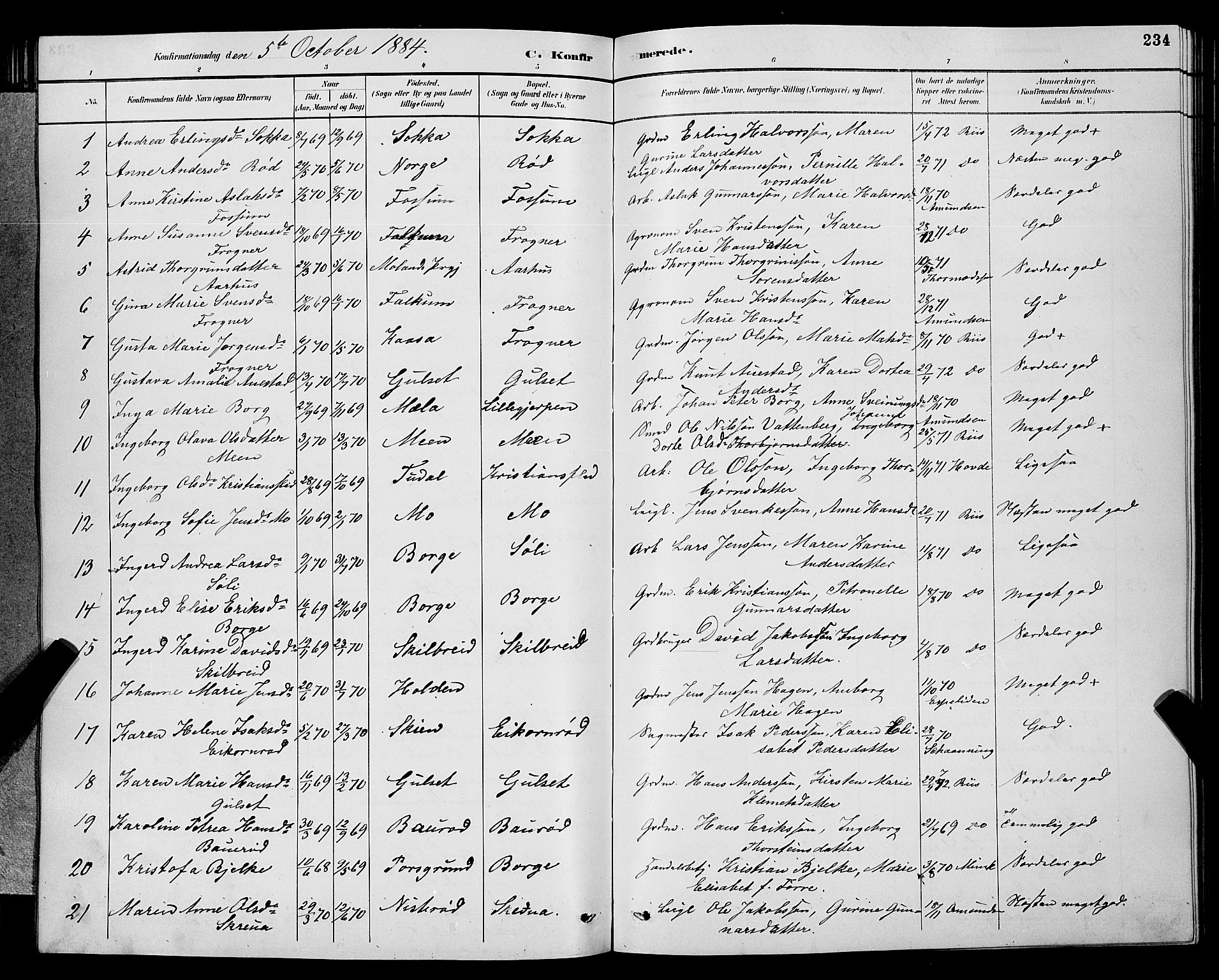 Gjerpen kirkebøker, SAKO/A-265/G/Ga/L0002: Parish register (copy) no. I 2, 1883-1900, p. 234