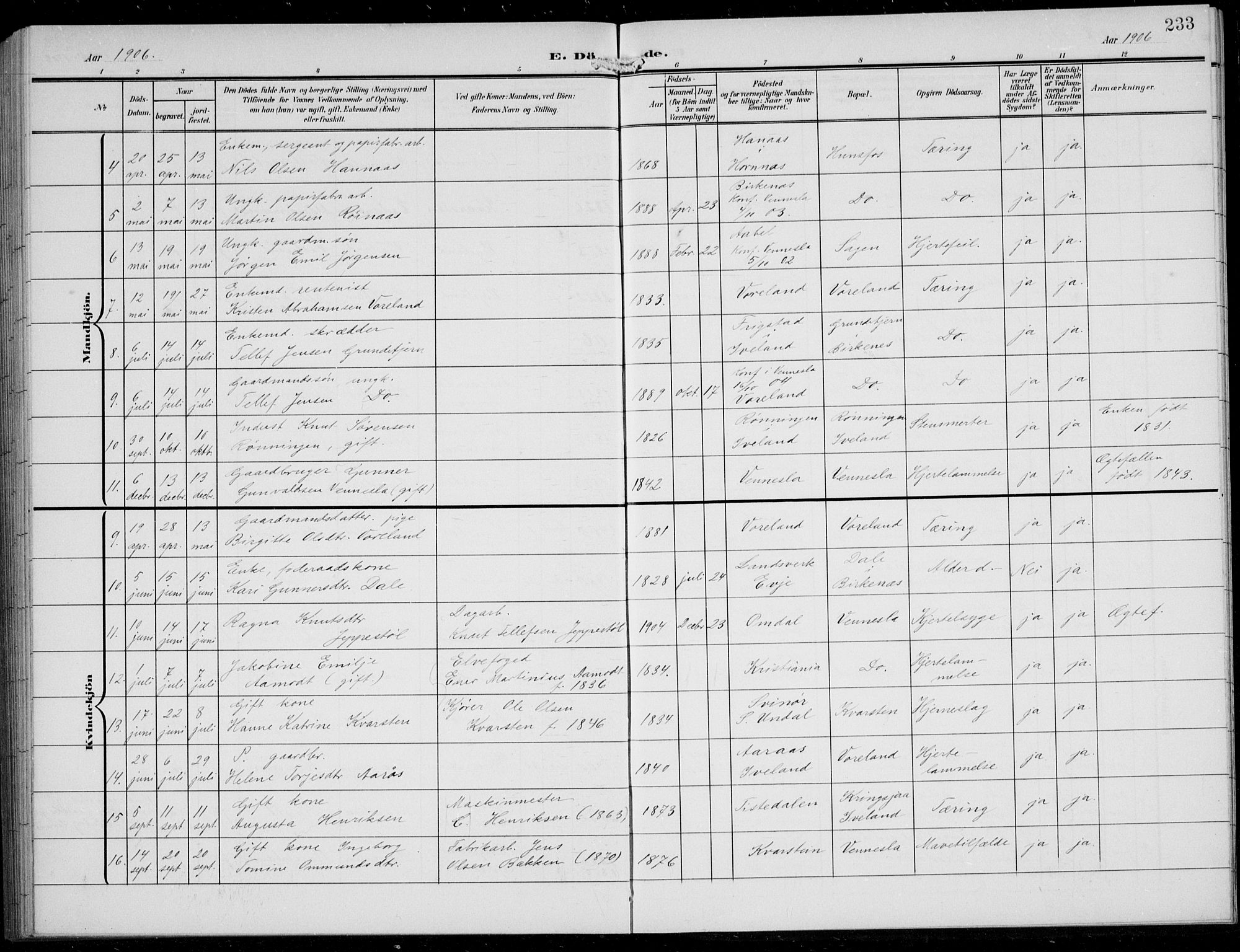 Vennesla sokneprestkontor, AV/SAK-1111-0045/Fb/Fbb/L0005: Parish register (copy) no. B 5, 1903-1913, p. 233