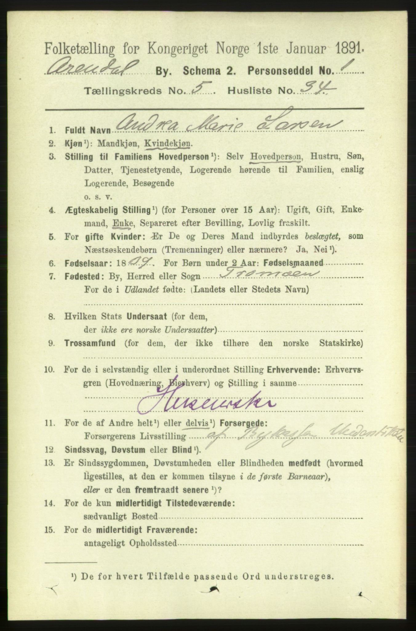 RA, 1891 census for 0903 Arendal, 1891, p. 2101