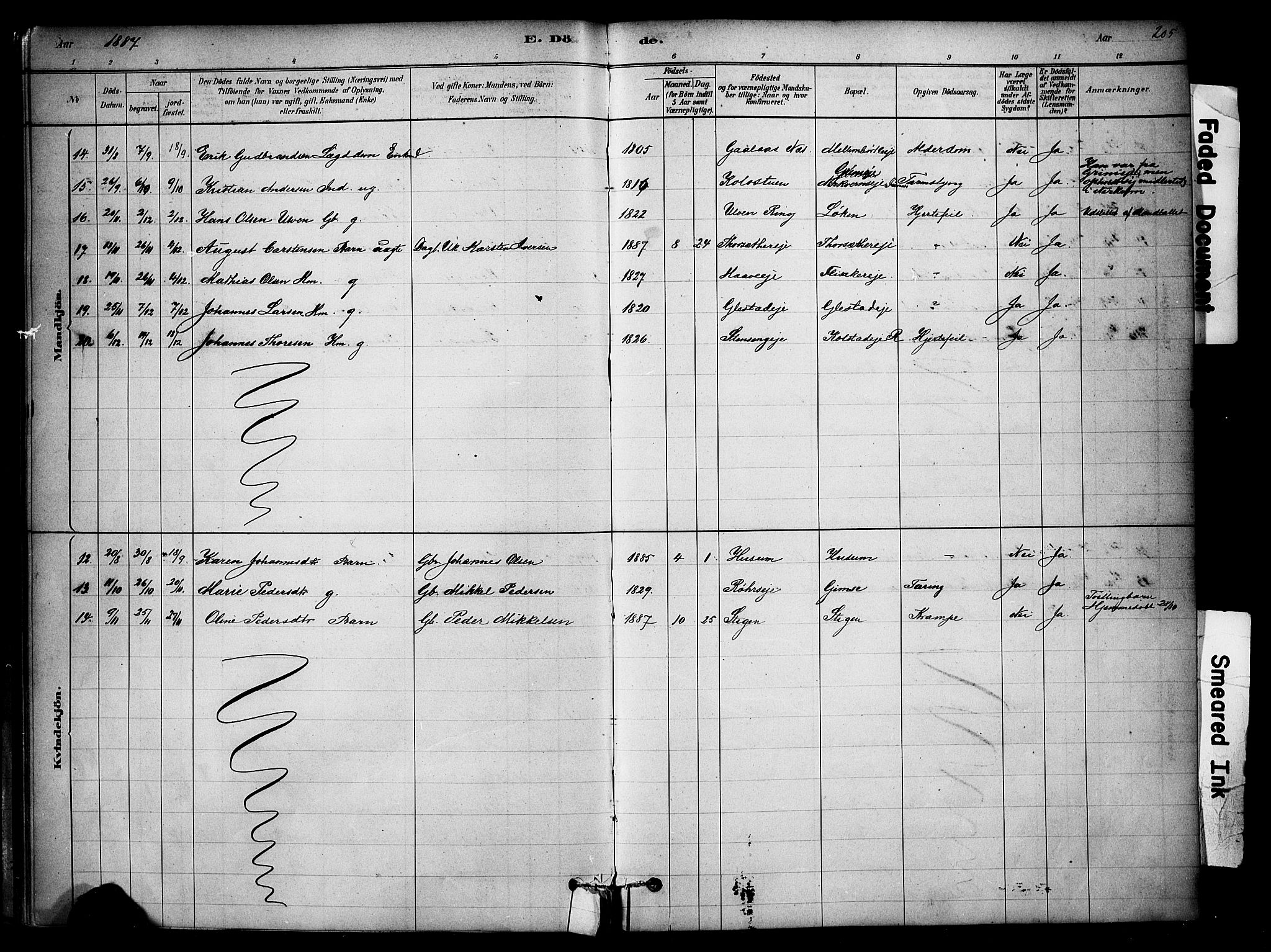 Ringsaker prestekontor, SAH/PREST-014/K/Ka/L0014: Parish register (official) no. 14, 1879-1890, p. 205