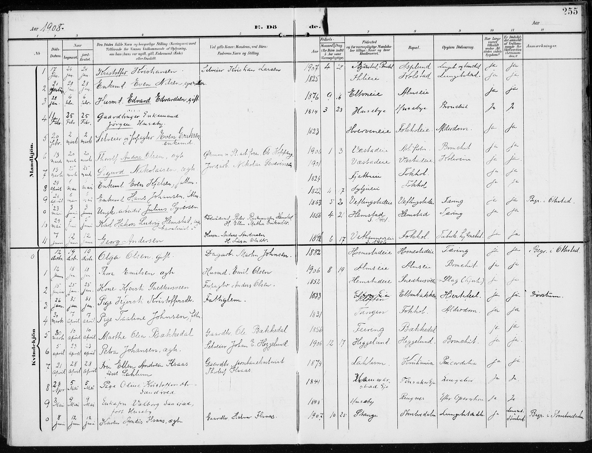 Stange prestekontor, SAH/PREST-002/K/L0024: Parish register (official) no. 24, 1906-1922, p. 255