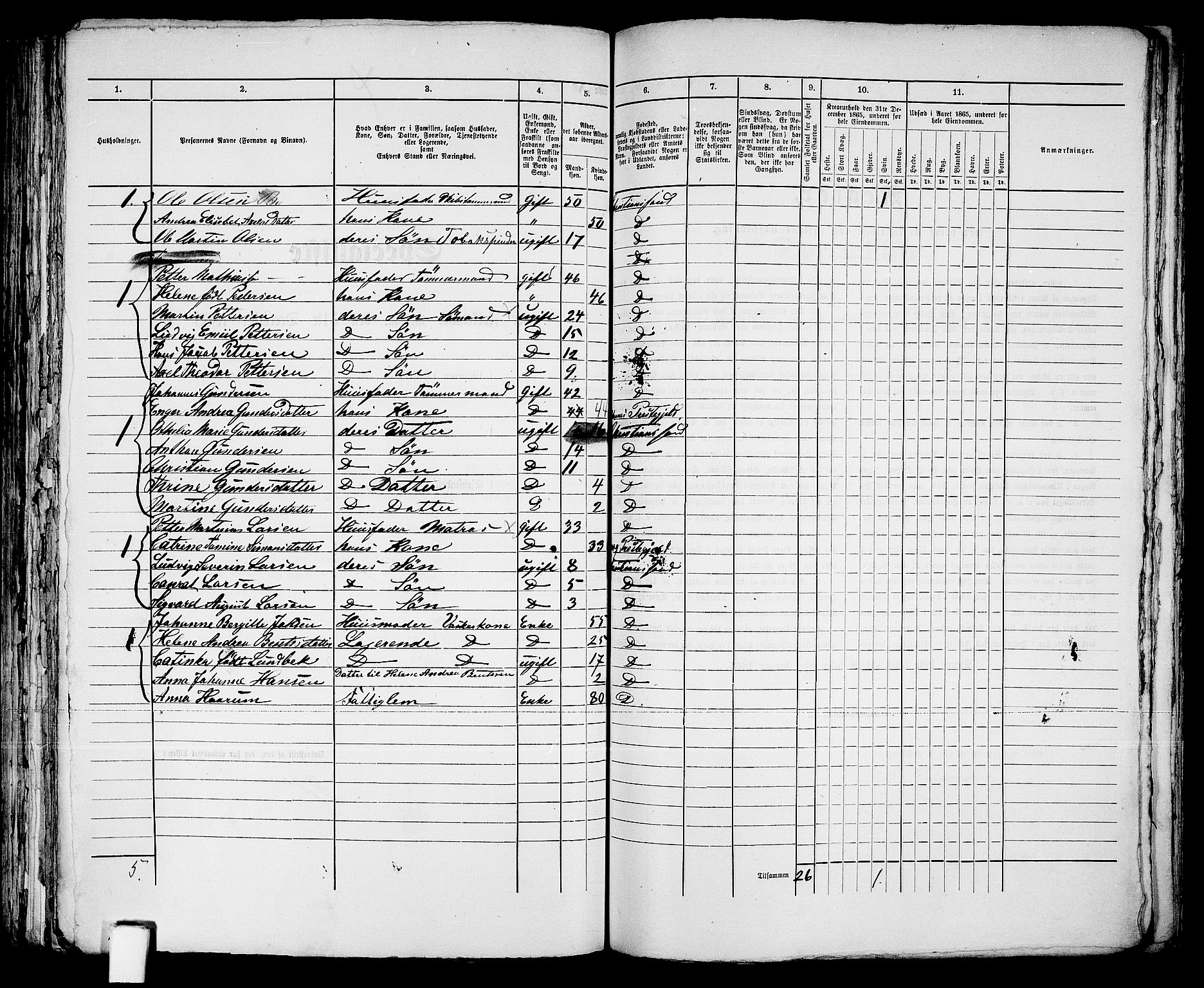 RA, 1865 census for Kristiansand, 1865, p. 1316