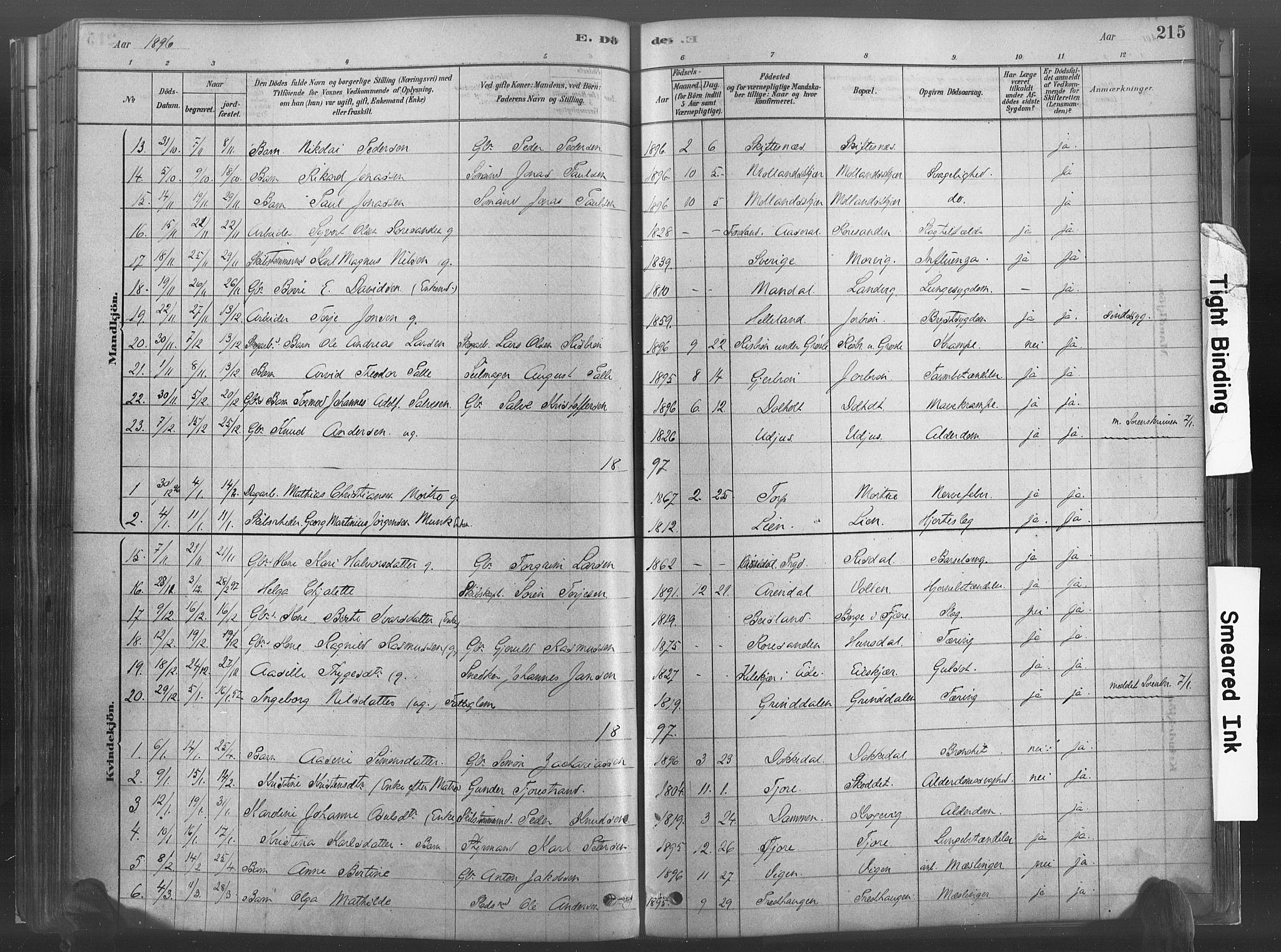 Hommedal sokneprestkontor, AV/SAK-1111-0023/F/Fa/Fab/L0006: Parish register (official) no. A 6, 1878-1897, p. 215