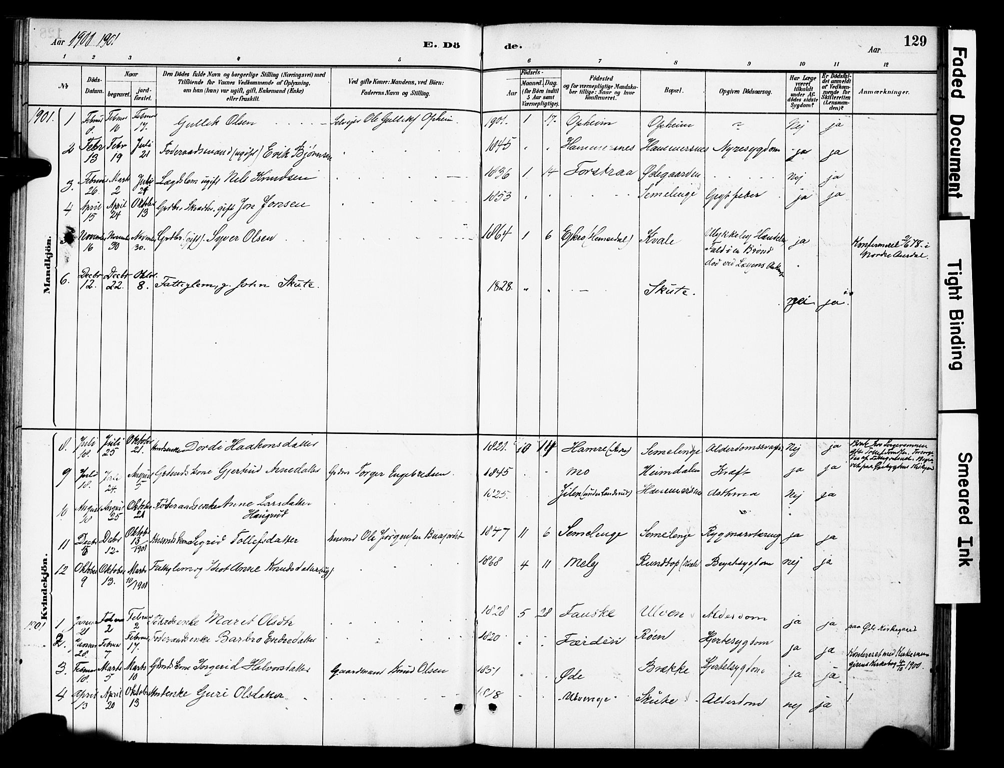 Vestre Slidre prestekontor, SAH/PREST-136/H/Ha/Haa/L0006: Parish register (official) no. 6, 1881-1912, p. 129