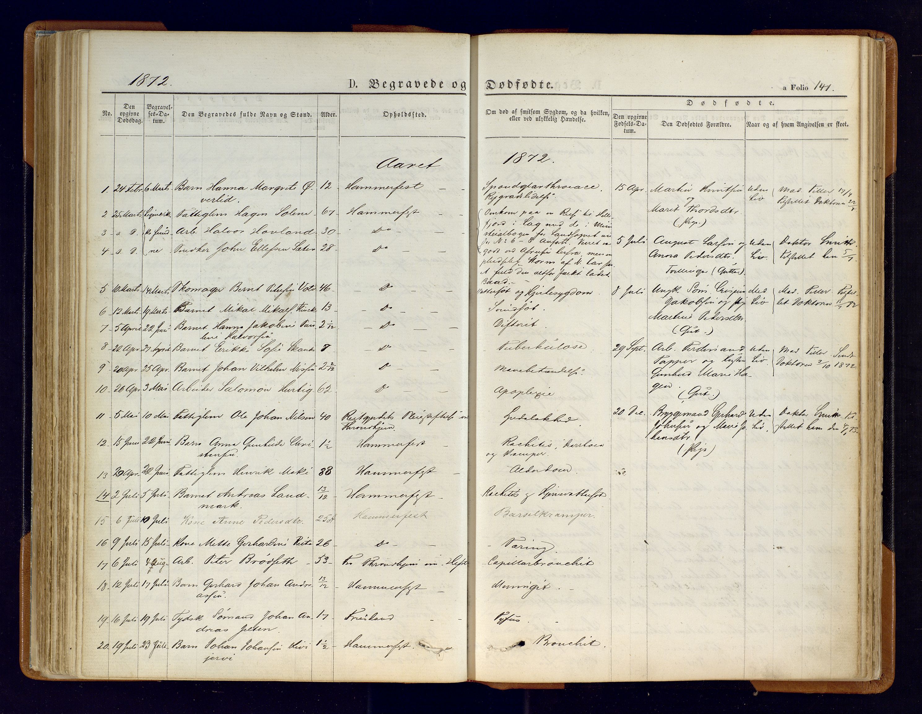 Hammerfest sokneprestkontor, SATØ/S-1347/H/Ha/L0006.kirke: Parish register (official) no. 6, 1869-1877, p. 141