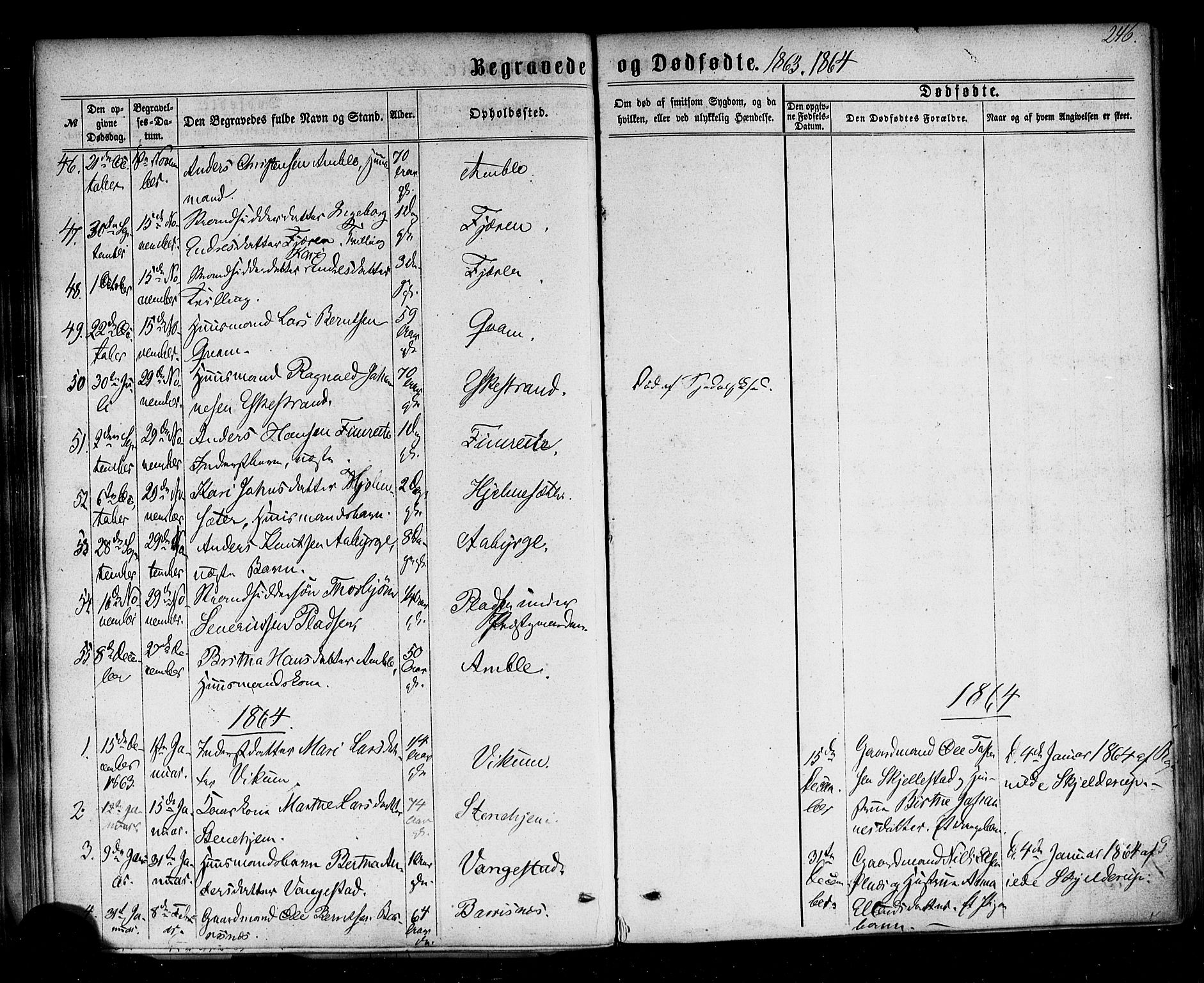 Sogndal sokneprestembete, AV/SAB-A-81301/H/Haa/Haaa/L0013: Parish register (official) no. A 13, 1859-1877, p. 246