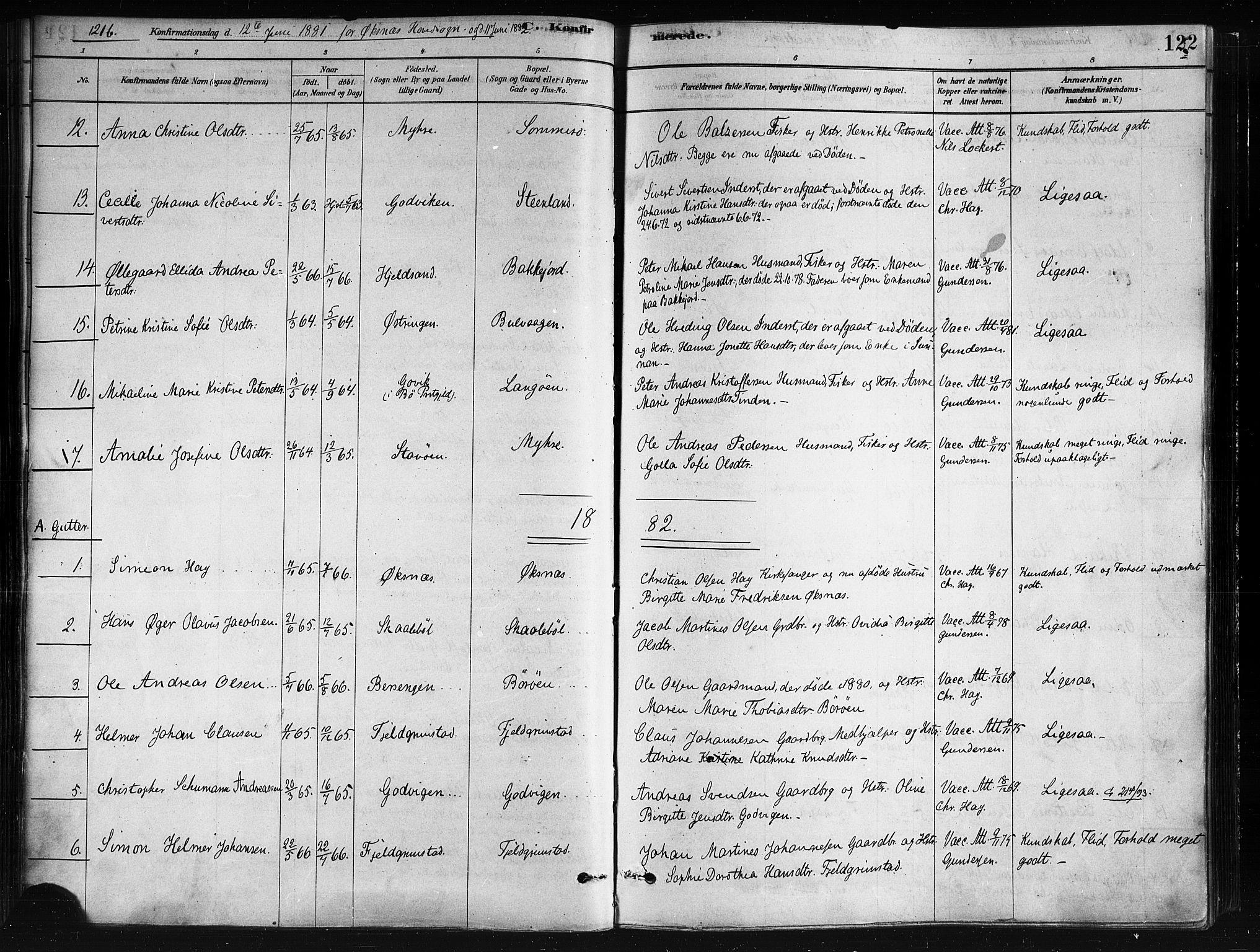 Ministerialprotokoller, klokkerbøker og fødselsregistre - Nordland, AV/SAT-A-1459/893/L1335: Parish register (official) no. 893A08 /1, 1878-1884, p. 122