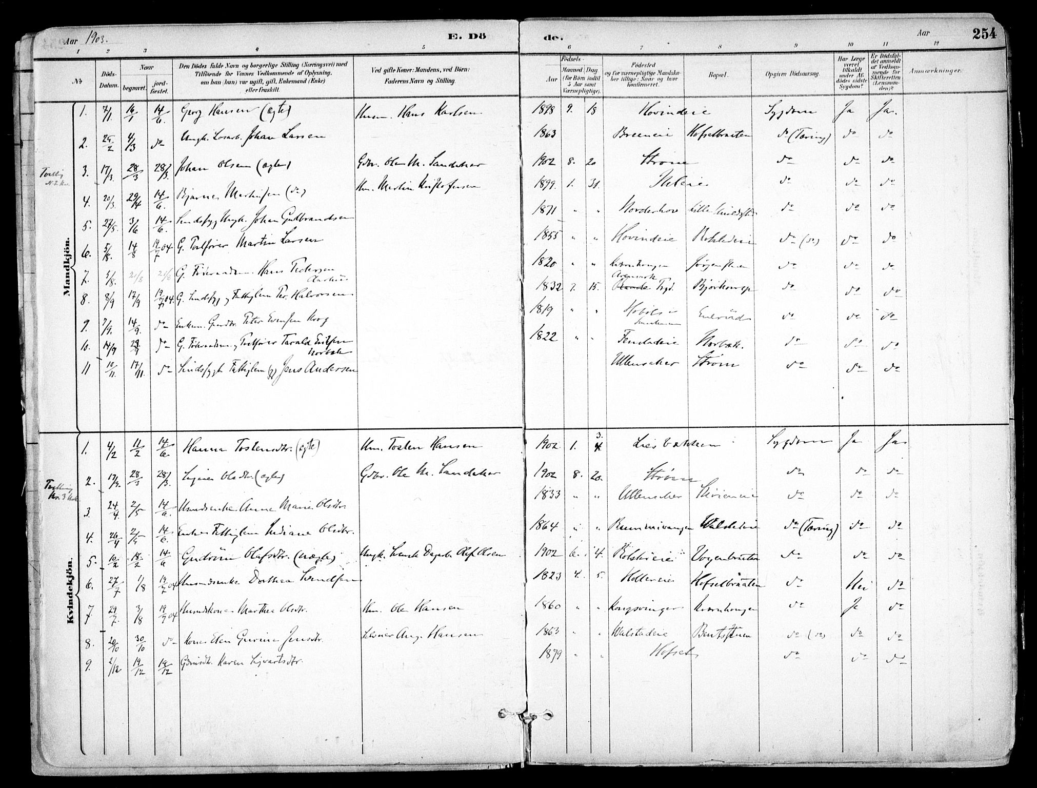 Nes prestekontor Kirkebøker, AV/SAO-A-10410/F/Fb/L0002: Parish register (official) no. II 2, 1883-1918, p. 254