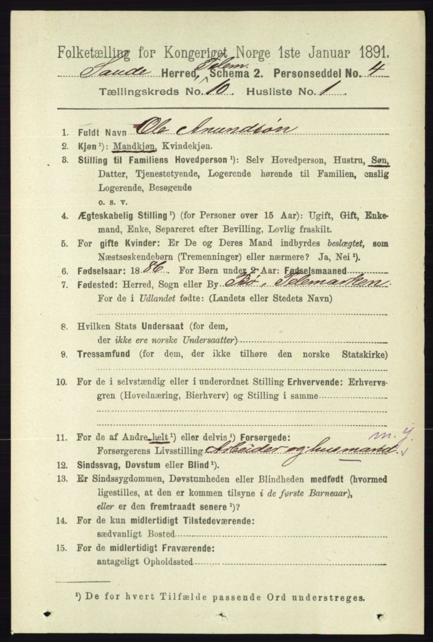 RA, 1891 census for 0822 Sauherad, 1891, p. 3006