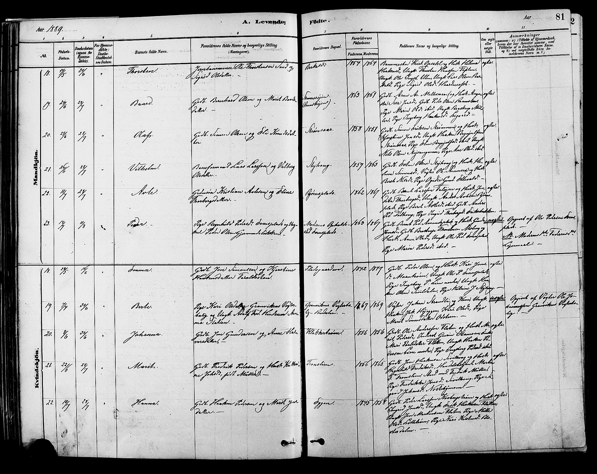 Alvdal prestekontor, SAH/PREST-060/H/Ha/Hab/L0003: Parish register (copy) no. 3, 1878-1907, p. 81