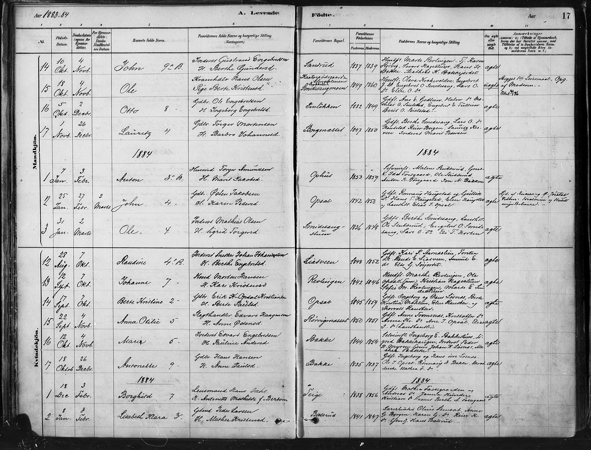 Ringebu prestekontor, AV/SAH-PREST-082/H/Ha/Haa/L0009: Parish register (official) no. 9, 1878-1898, p. 17