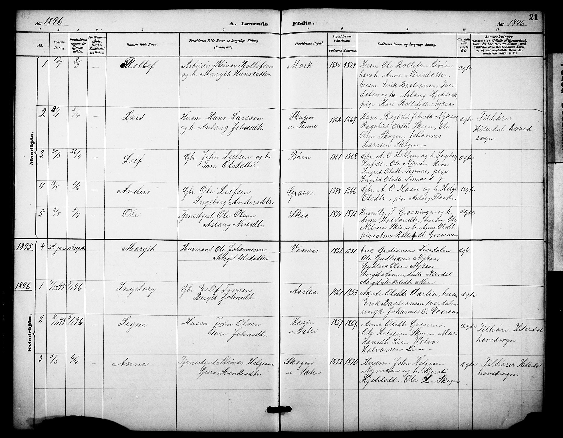 Heddal kirkebøker, SAKO/A-268/F/Fb/L0001: Parish register (official) no. II 1, 1884-1910, p. 21