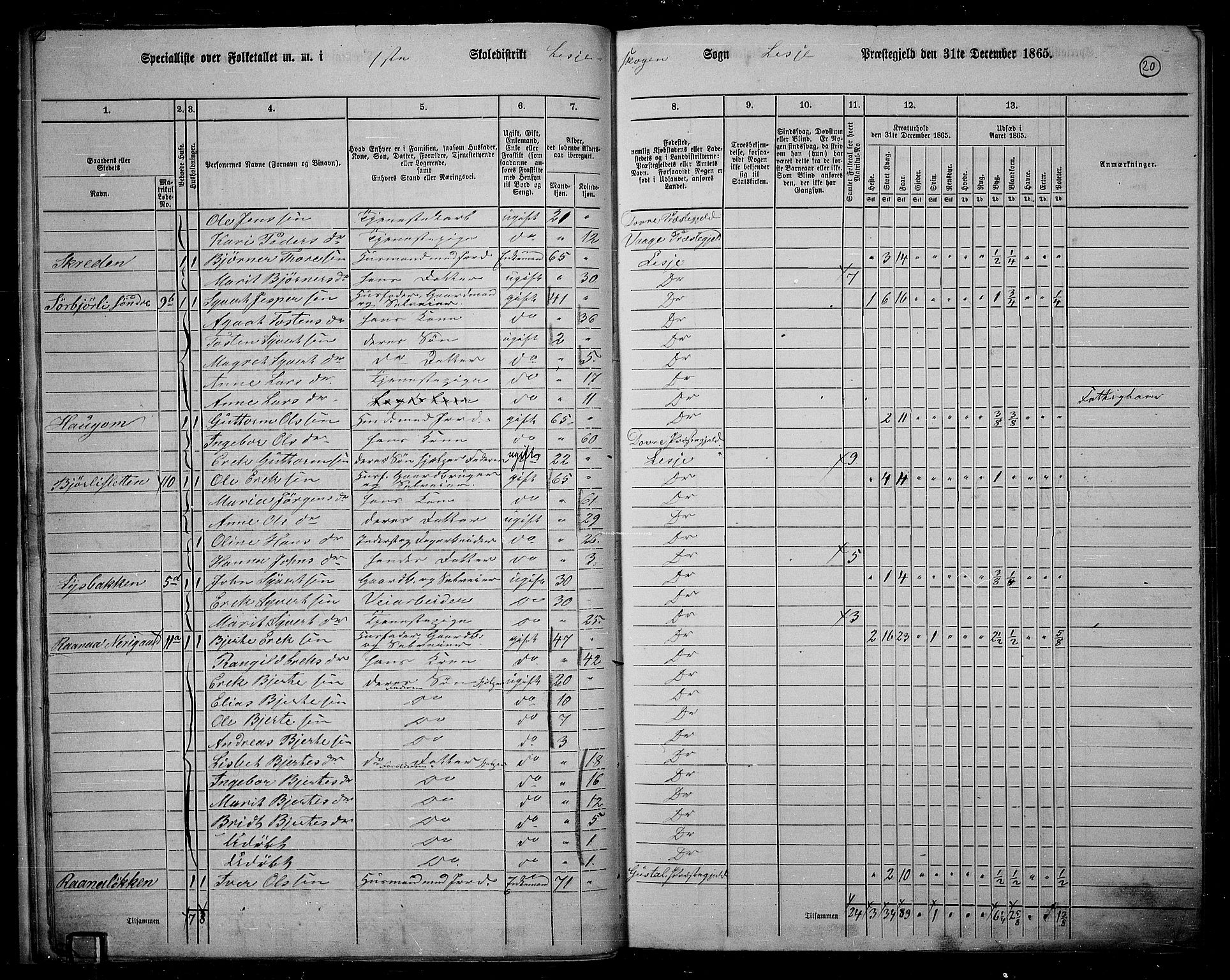 RA, 1865 census for Lesja, 1865, p. 21