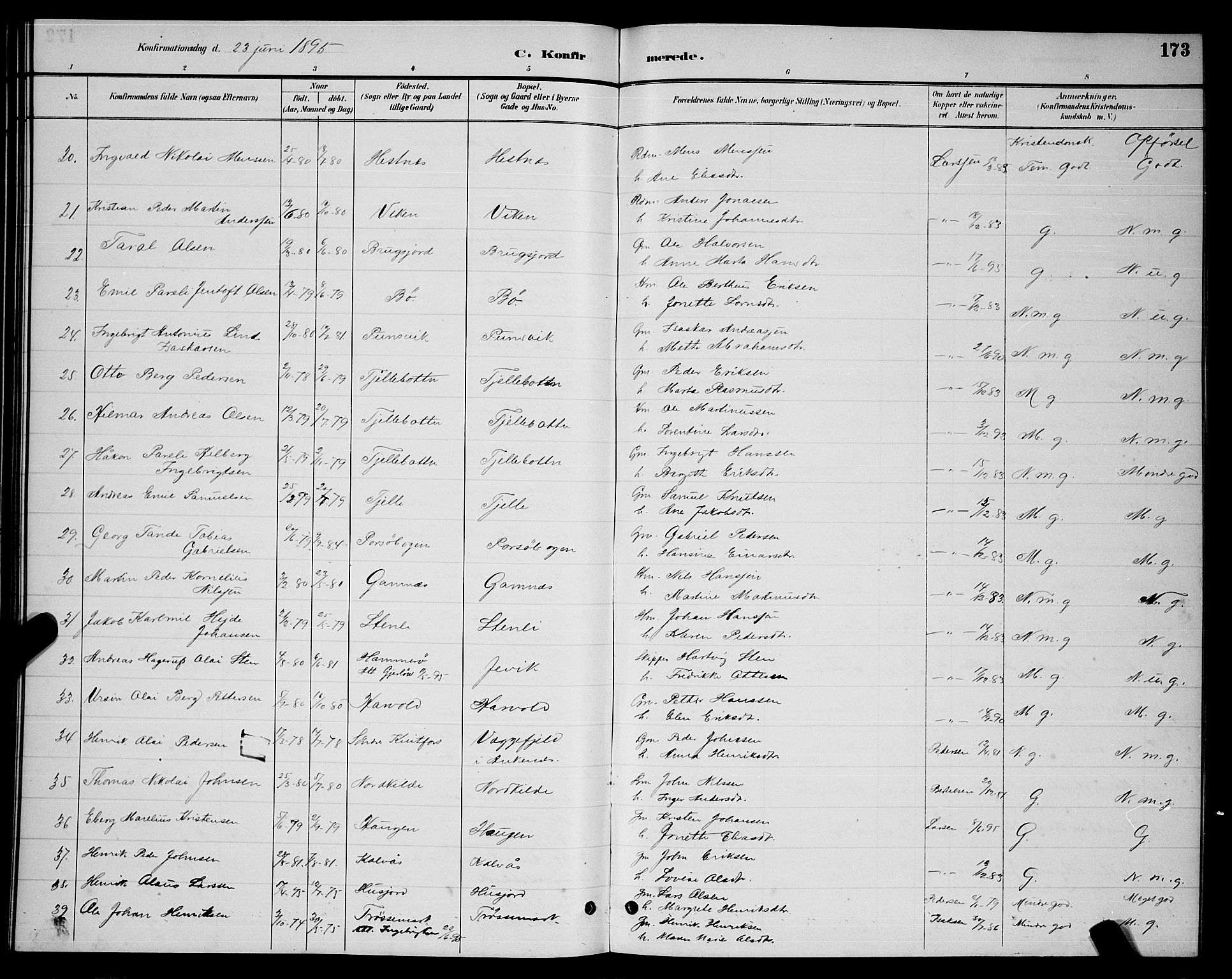 Ministerialprotokoller, klokkerbøker og fødselsregistre - Nordland, AV/SAT-A-1459/863/L0914: Parish register (copy) no. 863C04, 1886-1897, p. 173