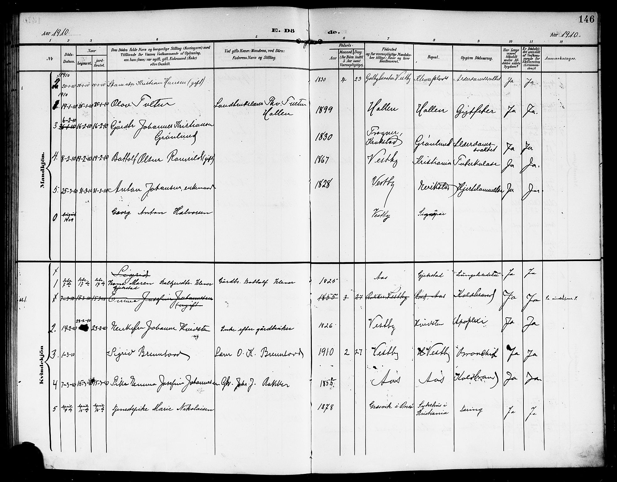 Vestby prestekontor Kirkebøker, SAO/A-10893/G/Ga/L0002: Parish register (copy) no. I 2, 1903-1916, p. 146