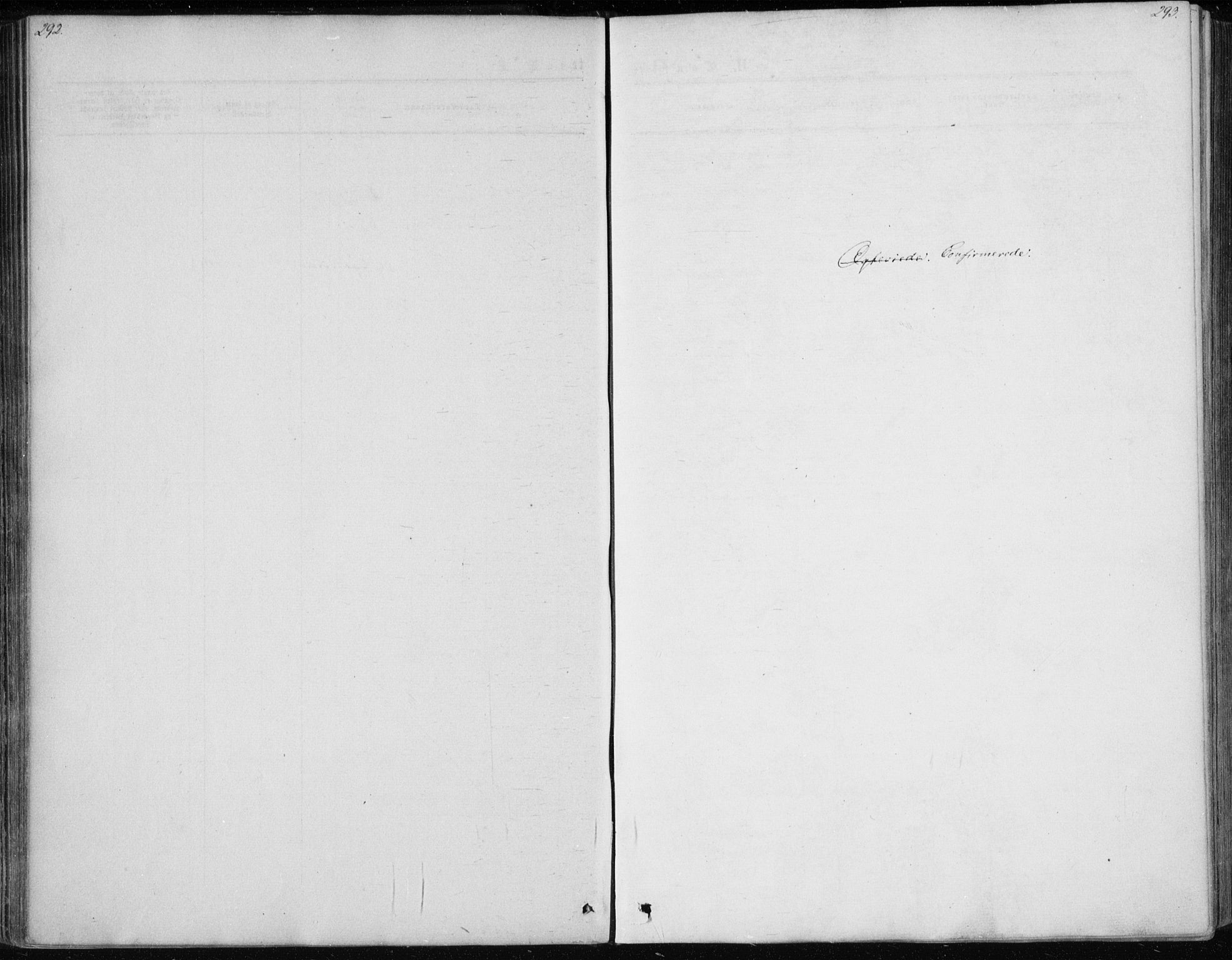 Skoger kirkebøker, SAKO/A-59/F/Fa/L0004: Parish register (official) no. I 4, 1862-1872, p. 292-293