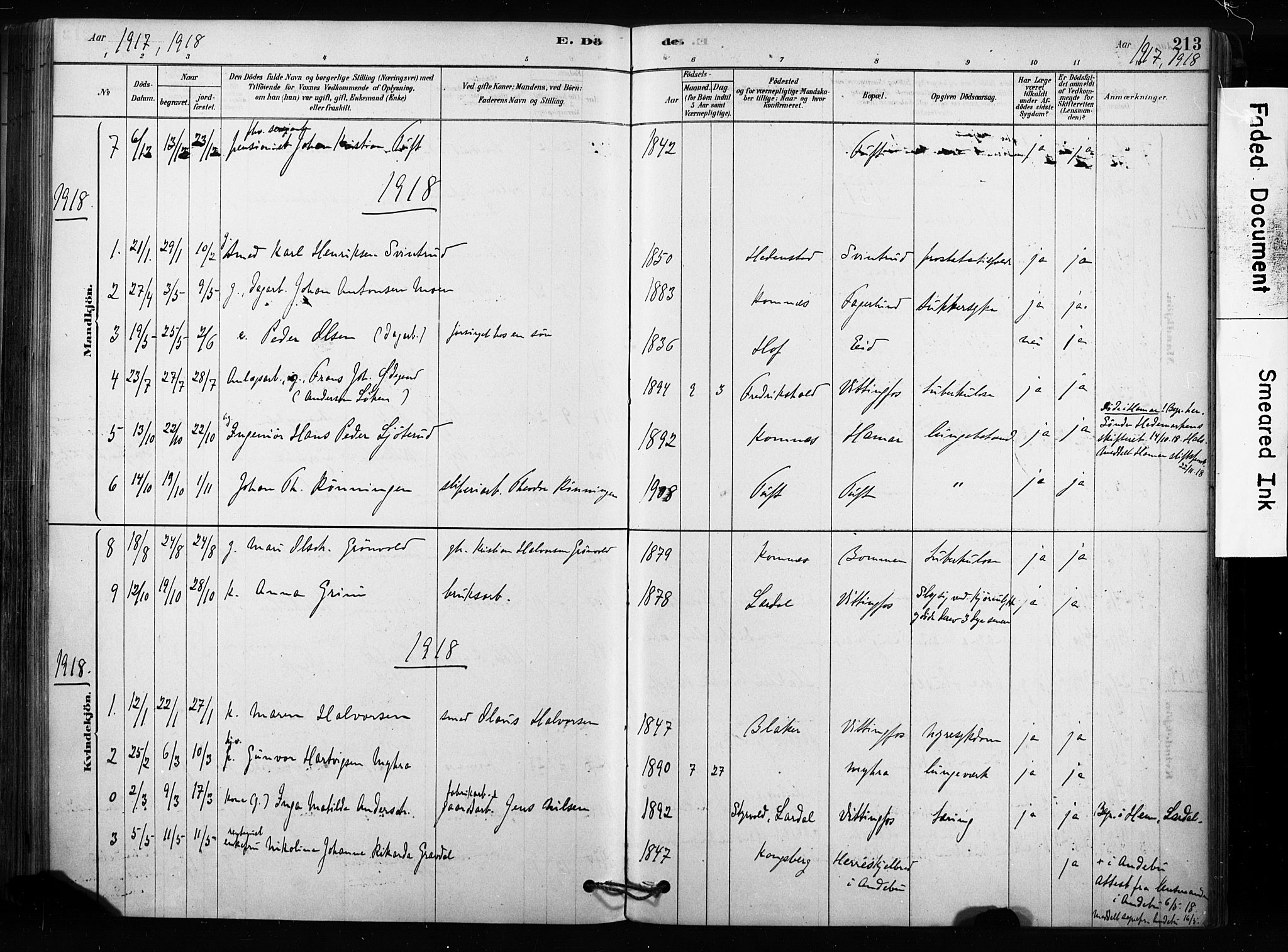 Sandsvær kirkebøker, SAKO/A-244/F/Fc/L0001: Parish register (official) no. III 1, 1878-1923, p. 213