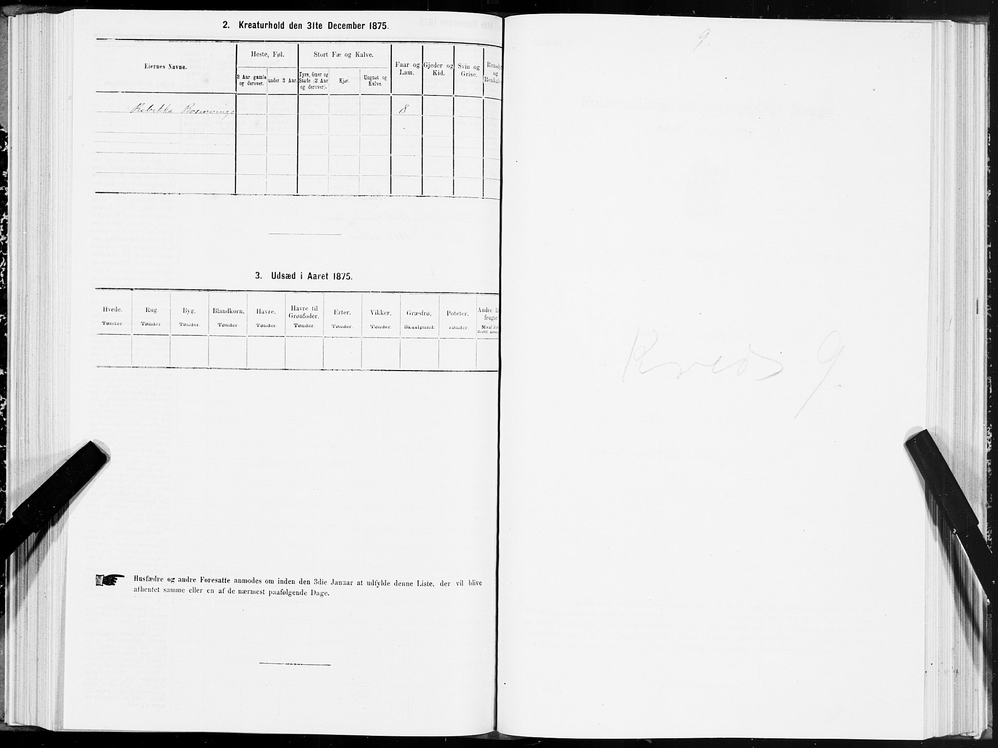 SAT, 1875 census for 1702B Steinkjer/Steinkjer, 1875