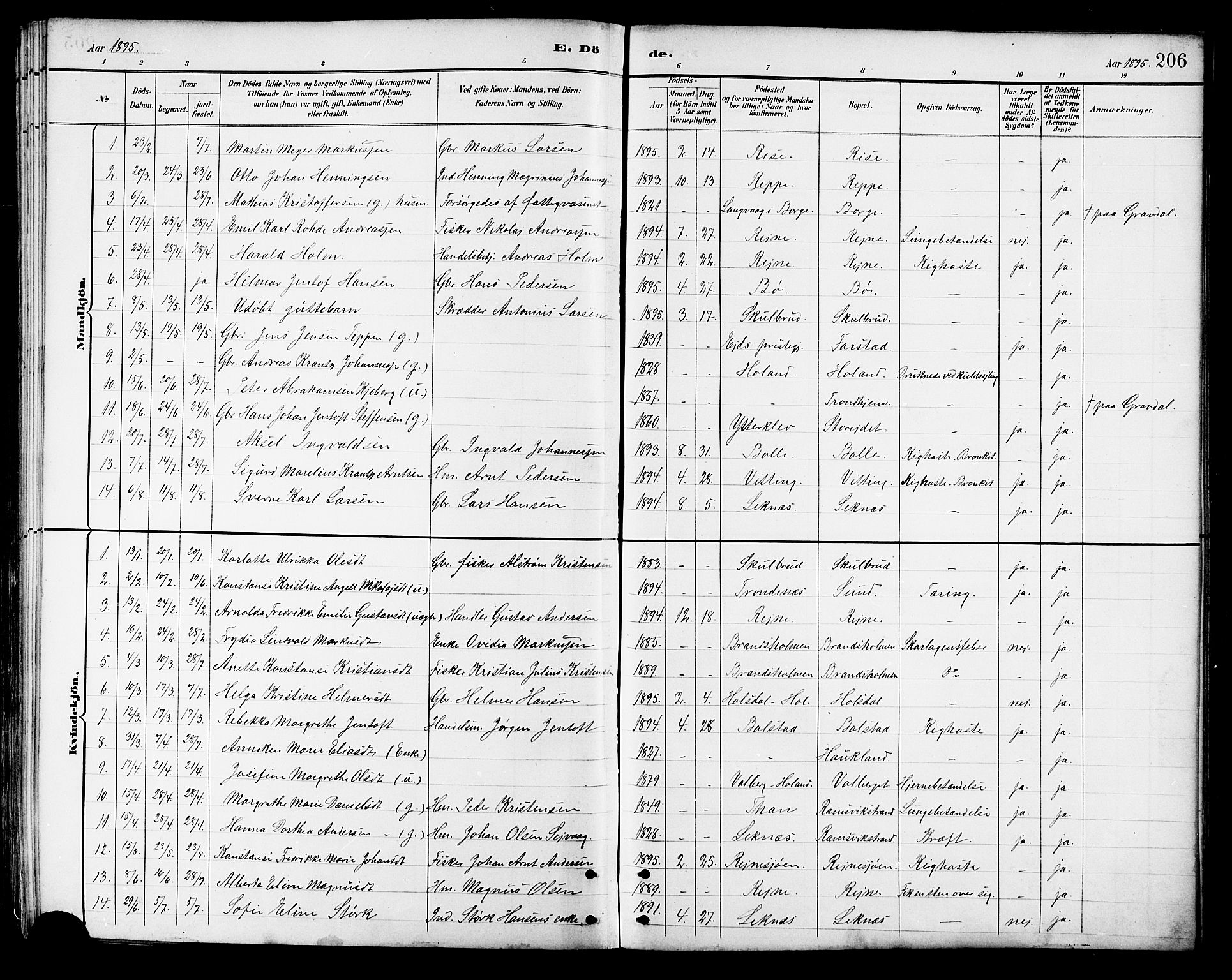 Ministerialprotokoller, klokkerbøker og fødselsregistre - Nordland, SAT/A-1459/881/L1167: Parish register (copy) no. 881C04, 1886-1899, p. 206