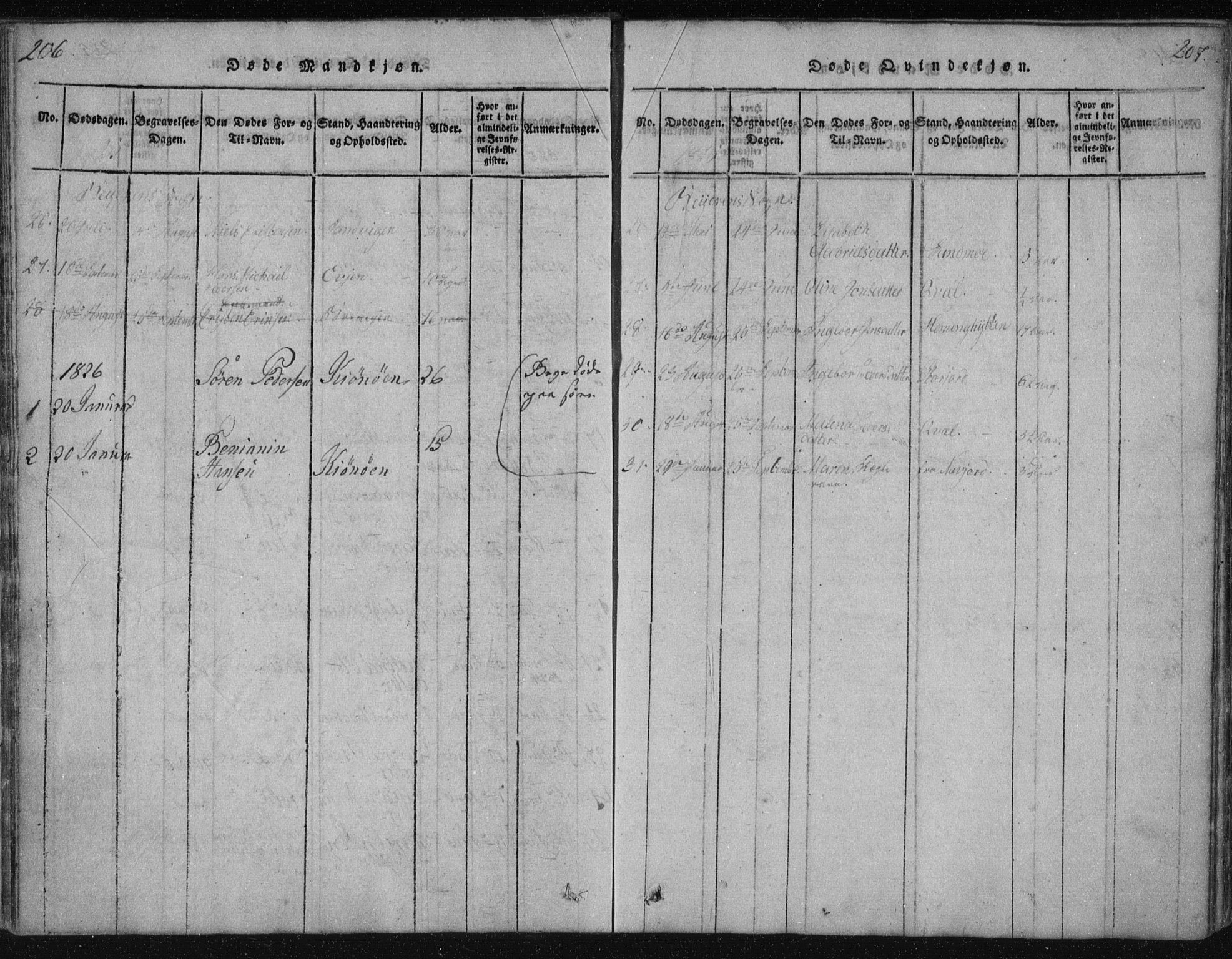 Ministerialprotokoller, klokkerbøker og fødselsregistre - Nordland, AV/SAT-A-1459/805/L0096: Parish register (official) no. 805A03, 1820-1837, p. 206-207