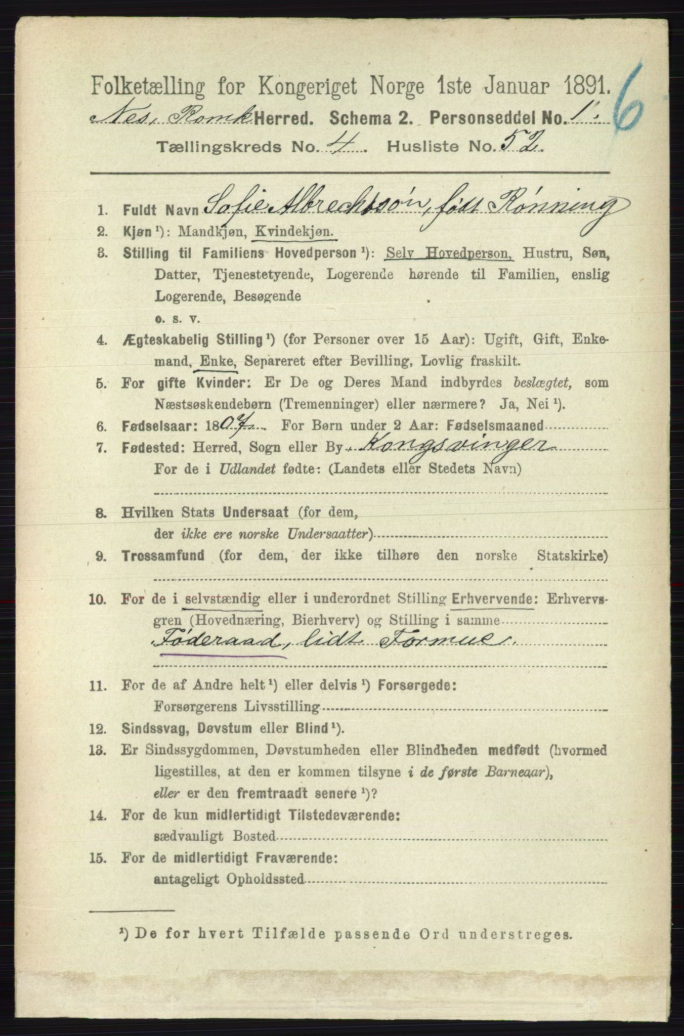RA, 1891 census for 0236 Nes, 1891, p. 2553