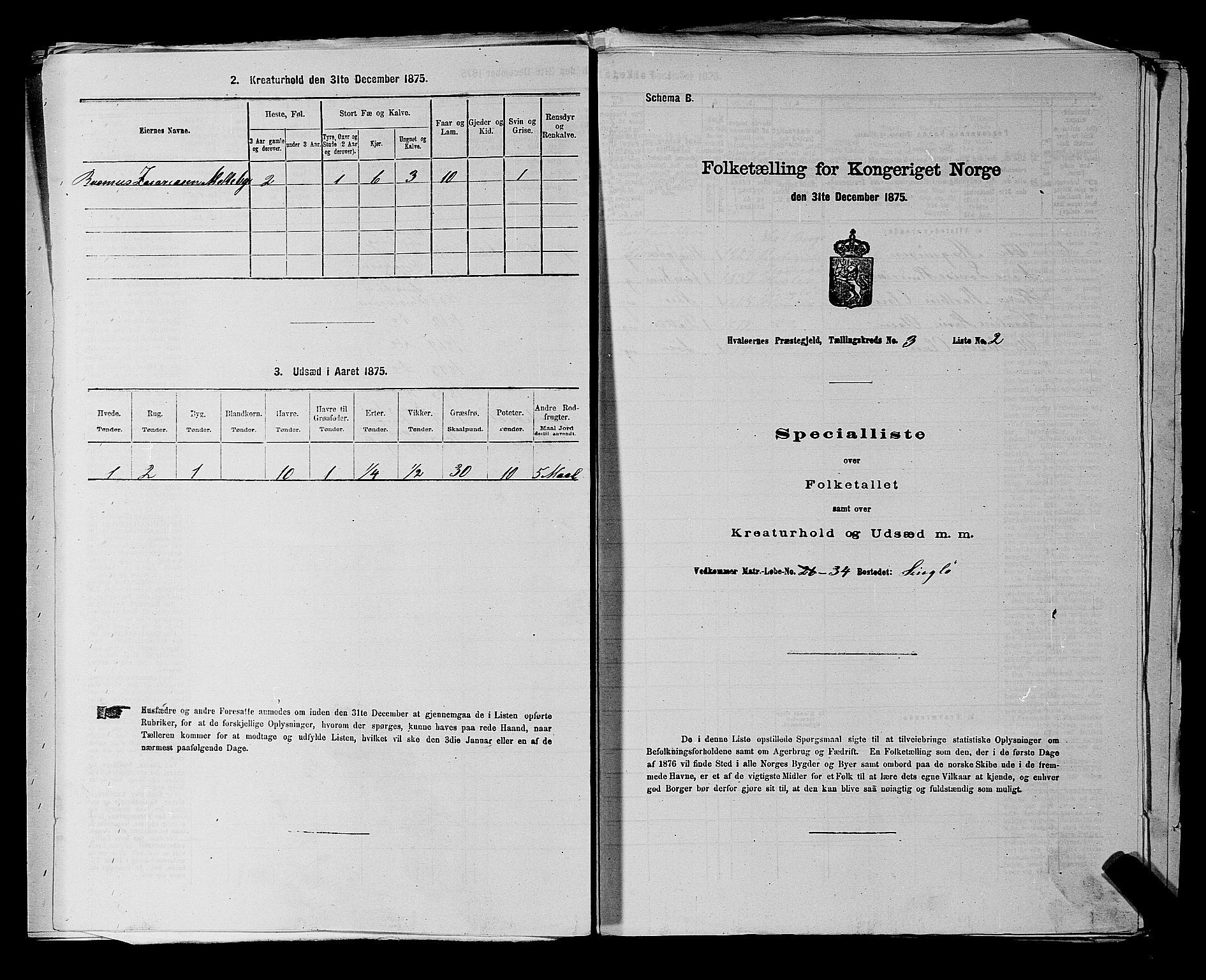 RA, 1875 census for 0111P Hvaler, 1875, p. 553