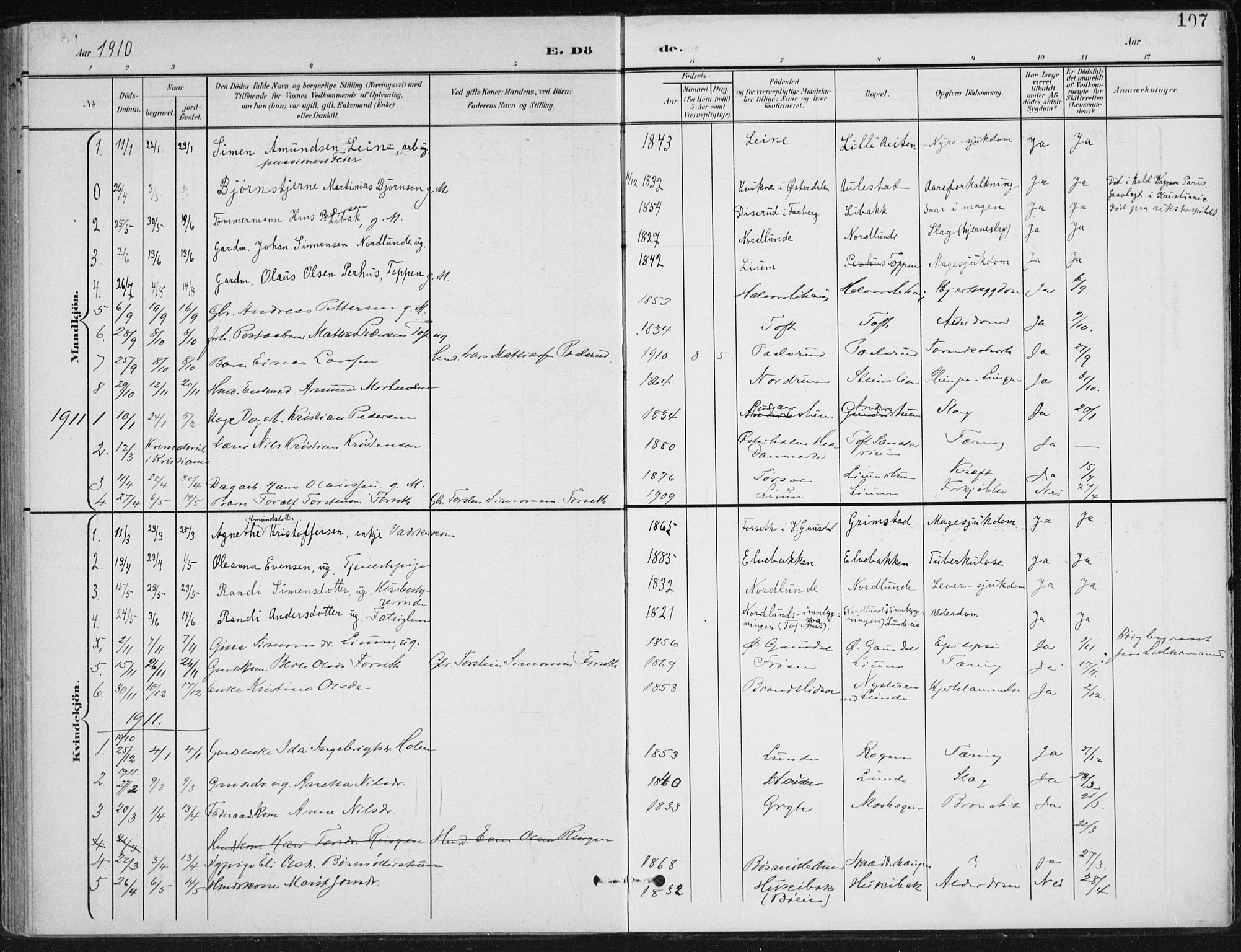 Østre Gausdal prestekontor, SAH/PREST-092/H/Ha/Haa/L0005: Parish register (official) no. 5, 1902-1920, p. 107