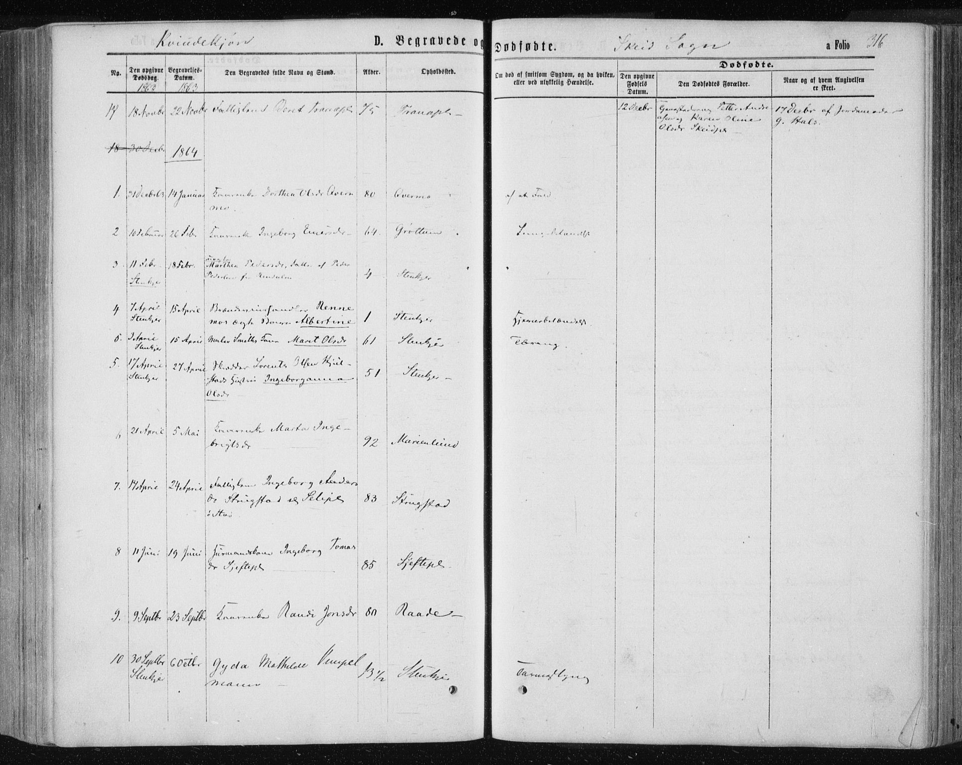 Ministerialprotokoller, klokkerbøker og fødselsregistre - Nord-Trøndelag, SAT/A-1458/735/L0345: Parish register (official) no. 735A08 /2, 1863-1872, p. 316