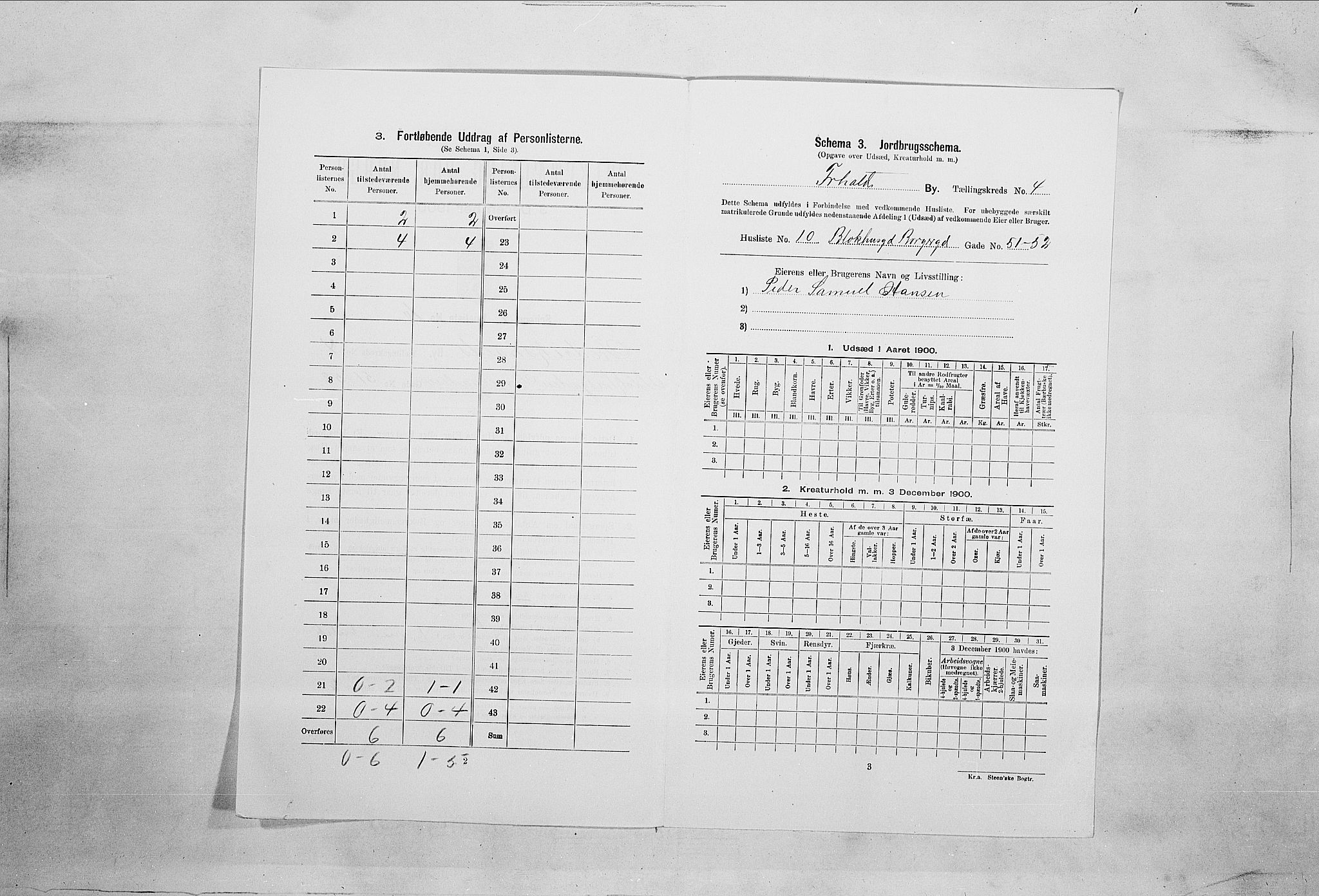 SAO, 1900 census for Fredrikshald, 1900