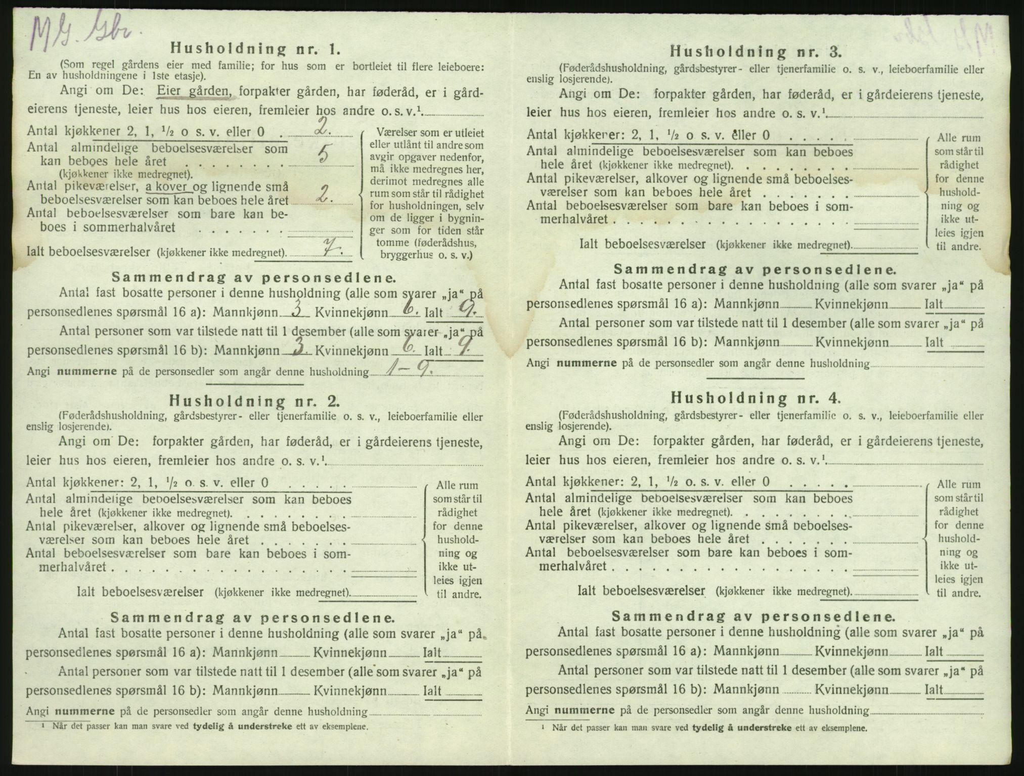 SAKO, 1920 census for Brunlanes, 1920, p. 316