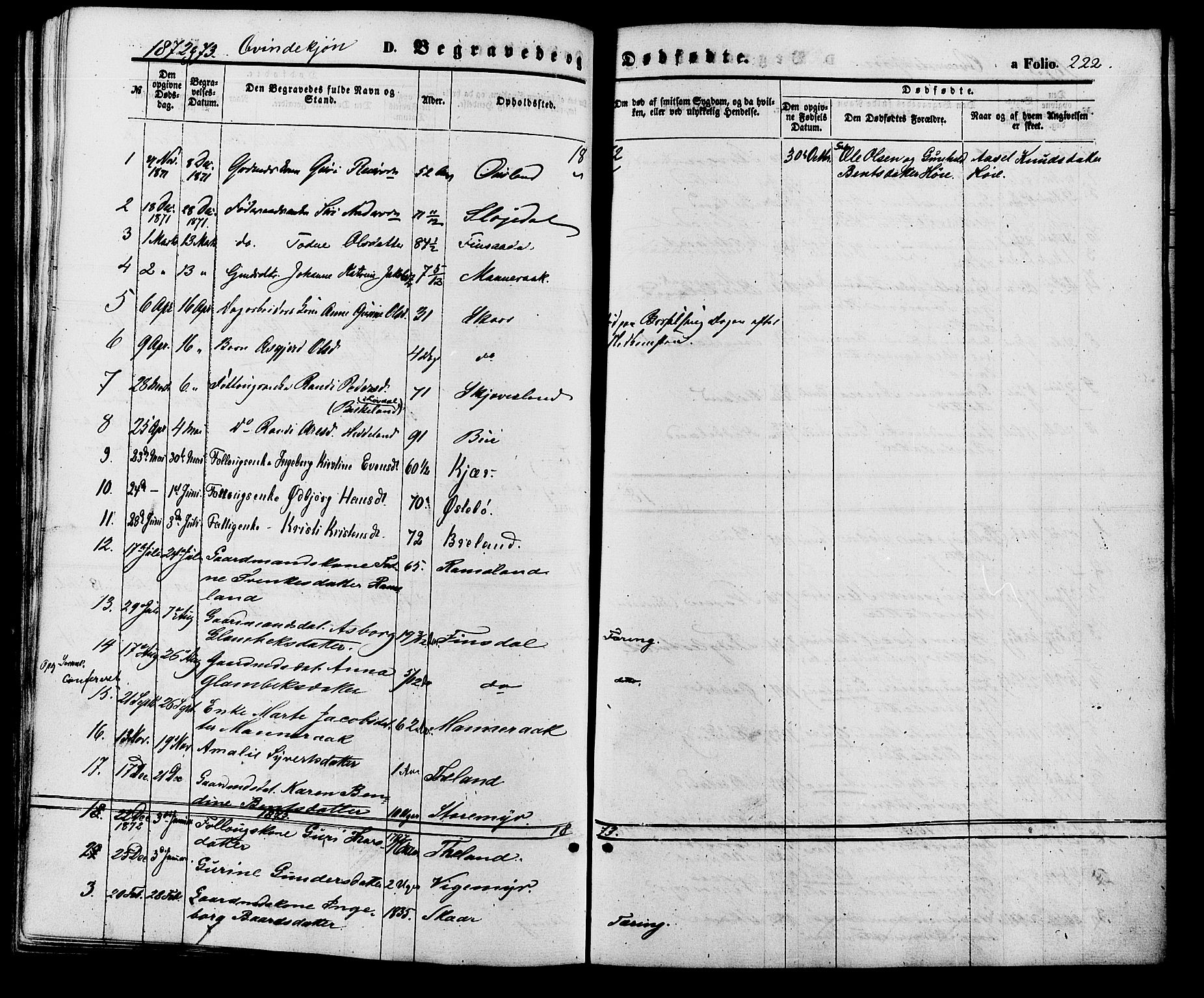 Holum sokneprestkontor, AV/SAK-1111-0022/F/Fa/Fac/L0003: Parish register (official) no. A 3, 1860-1883, p. 222