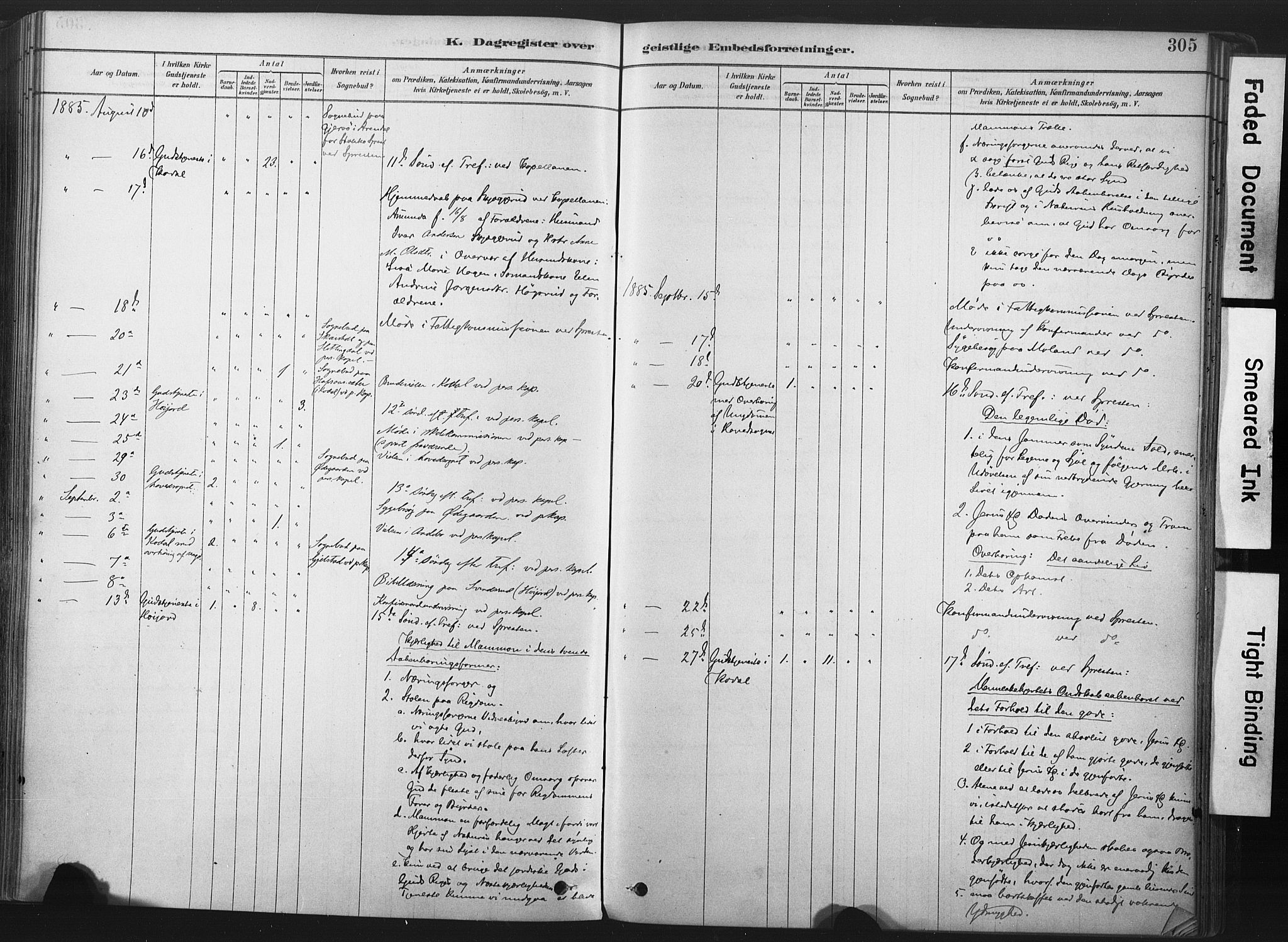 Andebu kirkebøker, AV/SAKO-A-336/F/Fa/L0007: Parish register (official) no. 7, 1878-1899, p. 305