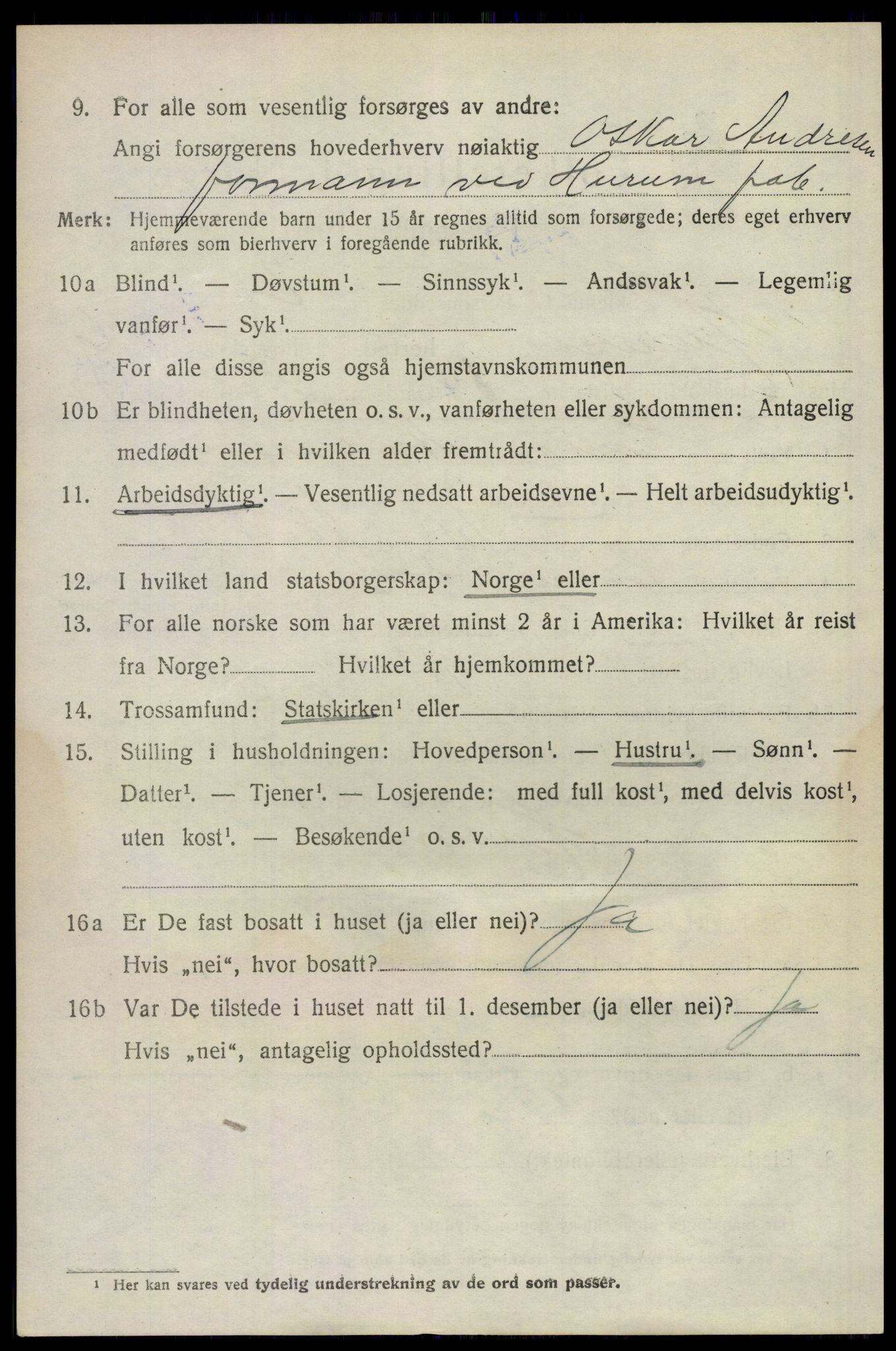 SAKO, 1920 census for Hurum, 1920, p. 7441