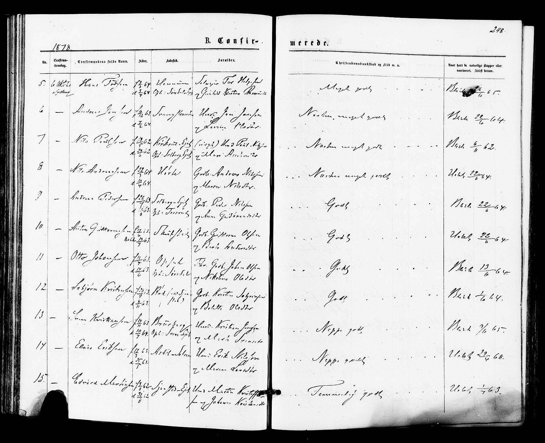 Lier kirkebøker, AV/SAKO-A-230/F/Fa/L0014: Parish register (official) no. I 14, 1875-1882, p. 248